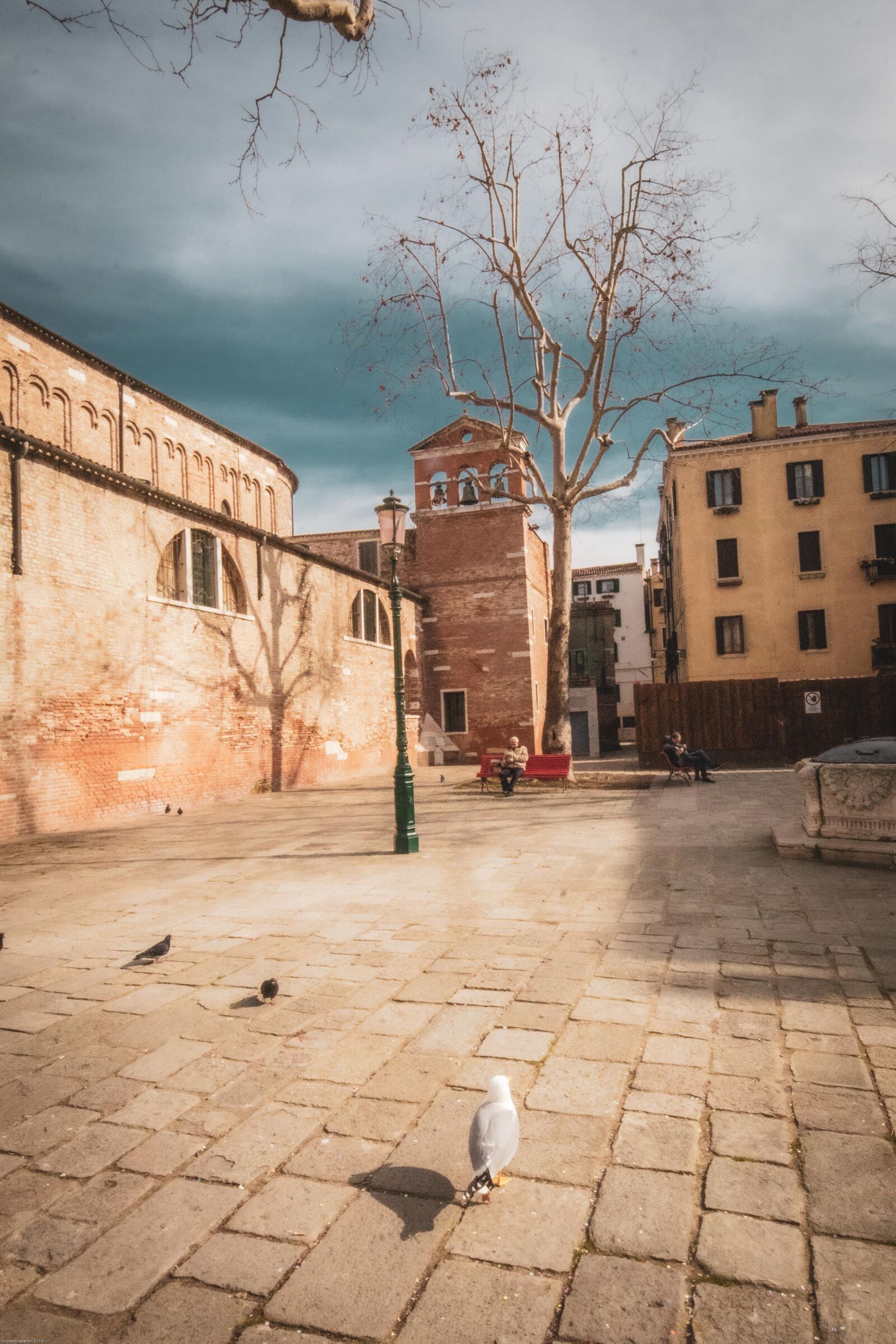 Canon EOS 80D sample photo. Venice, pigeons, piazza photography