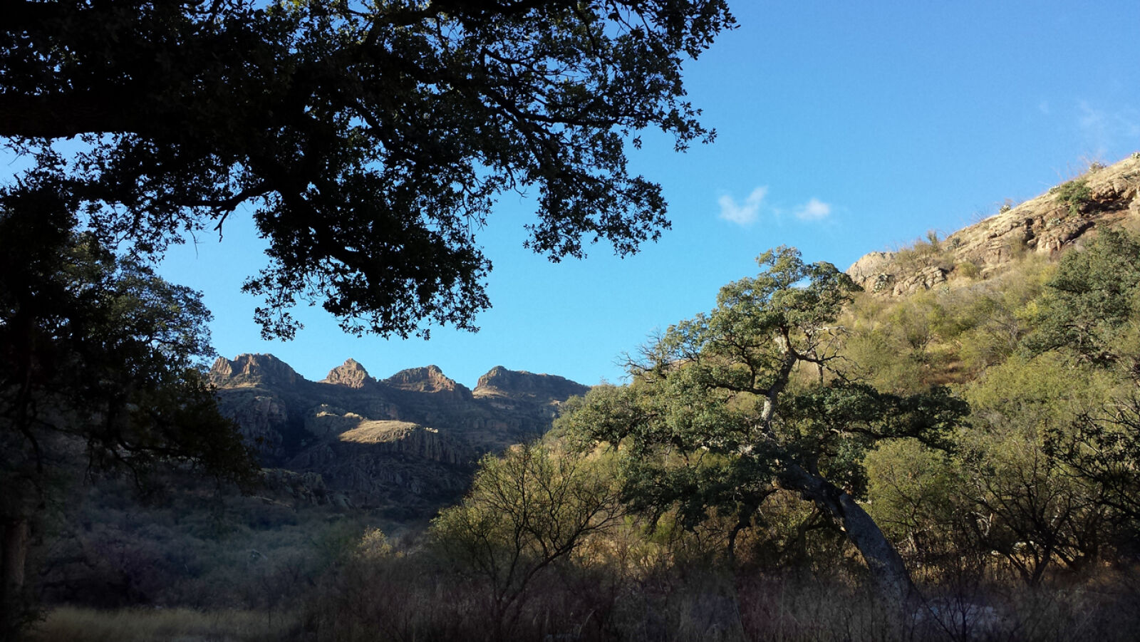 Samsung Galaxy S4 sample photo