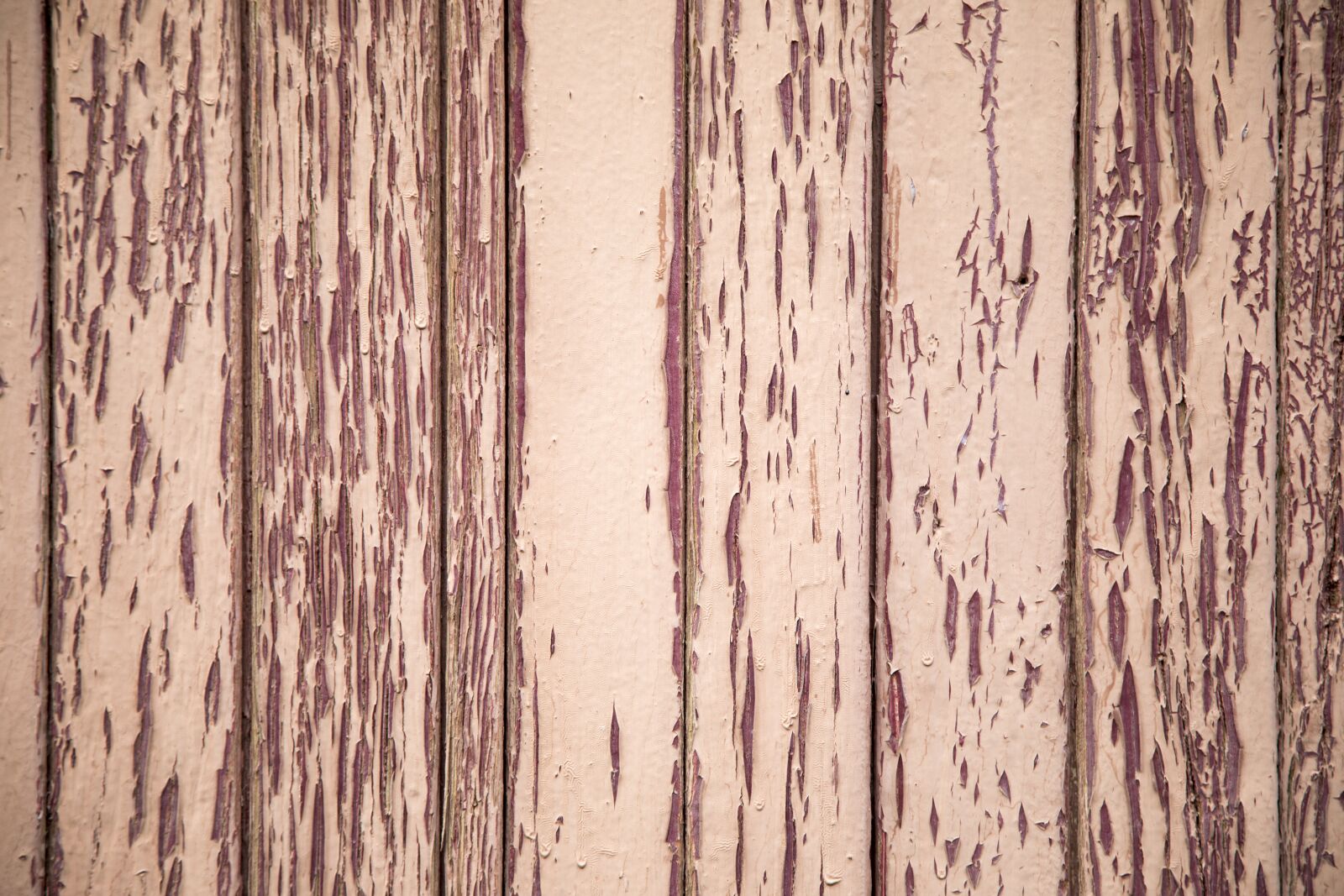 Canon EOS 5D Mark IV sample photo. Wooden, texture, red photography