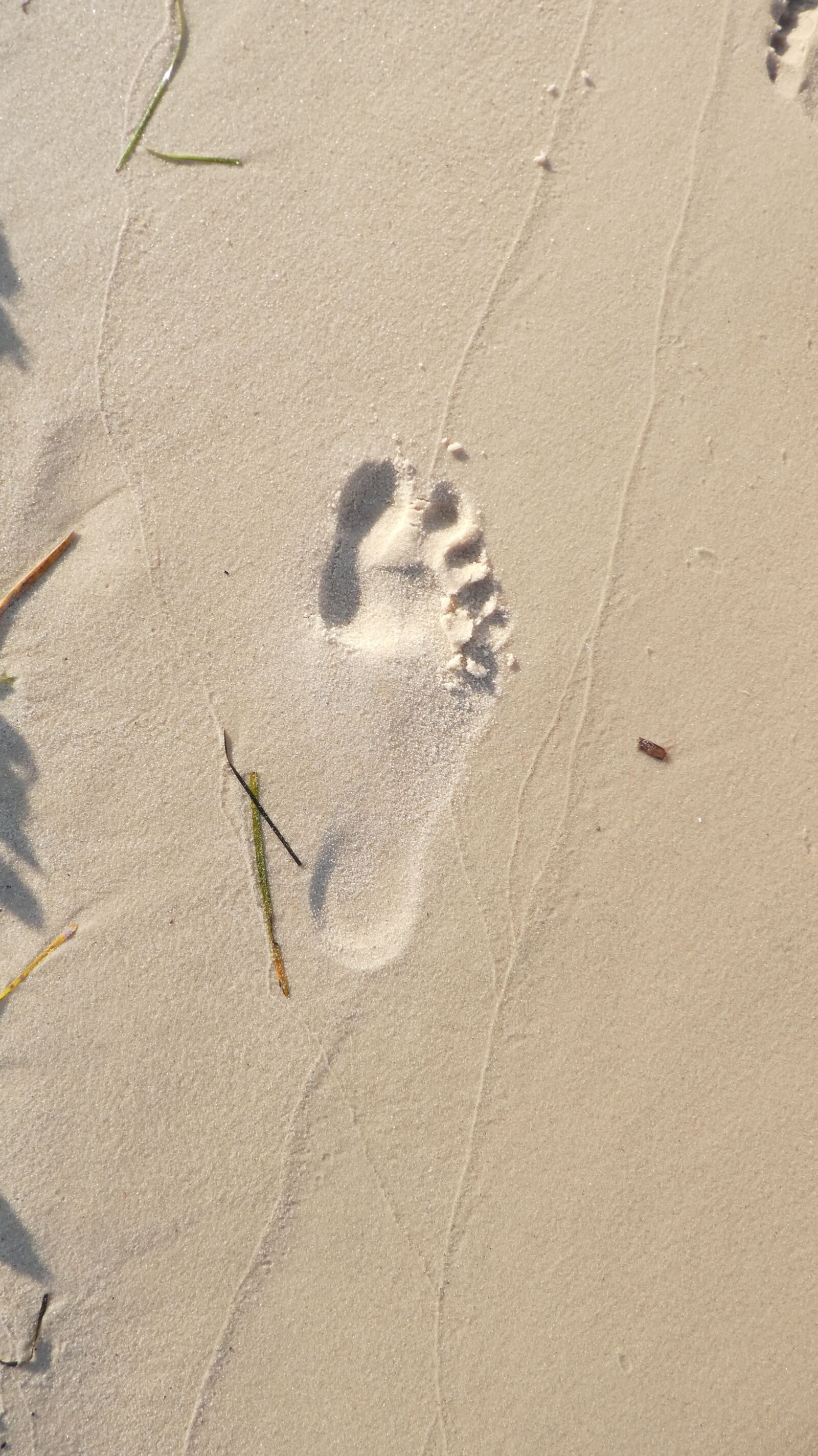 Panasonic DMC-TZ81 sample photo. Footprint, beach, sand photography