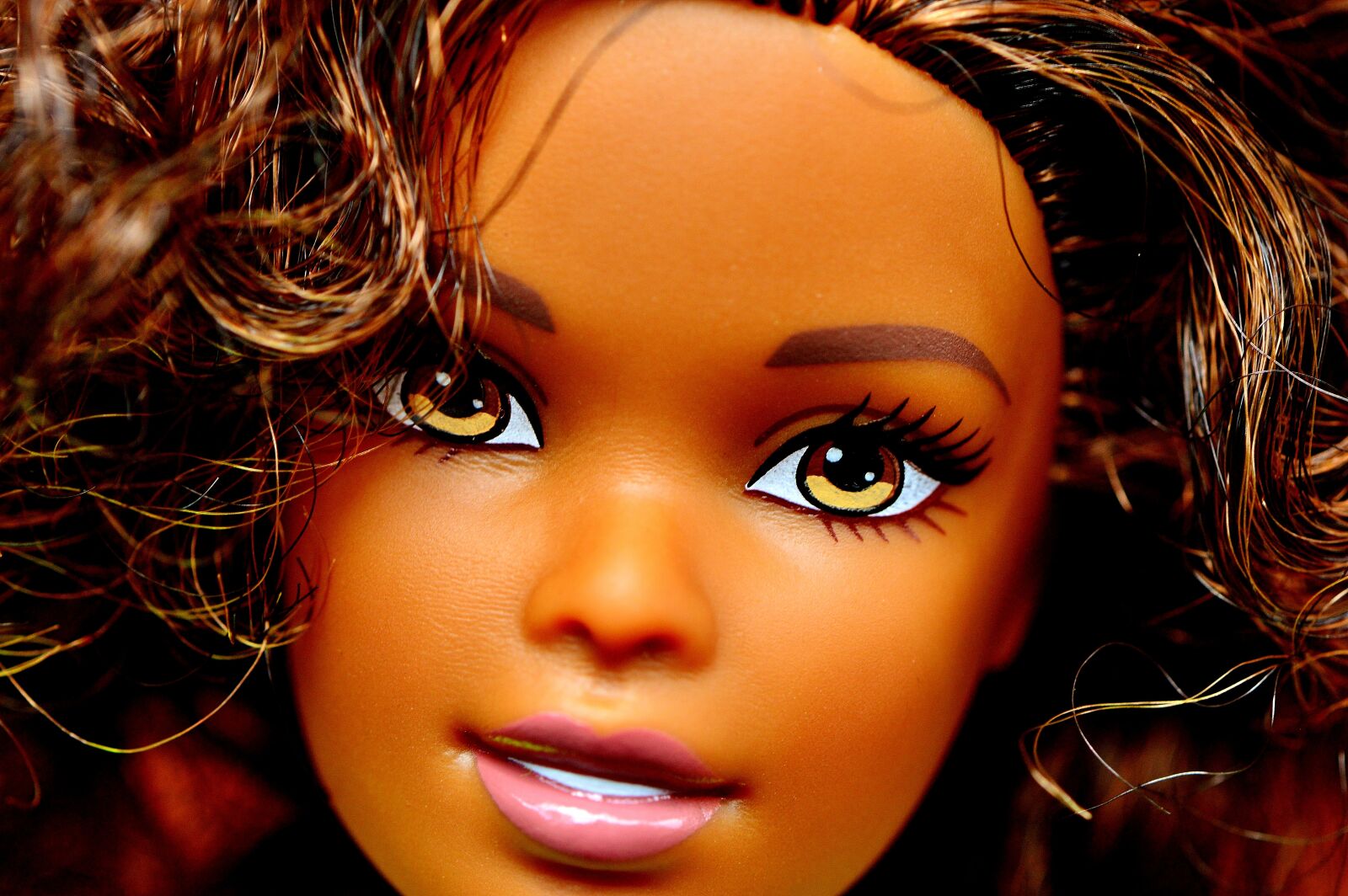 Nikon D3200 sample photo. Barbie, doll, head photography