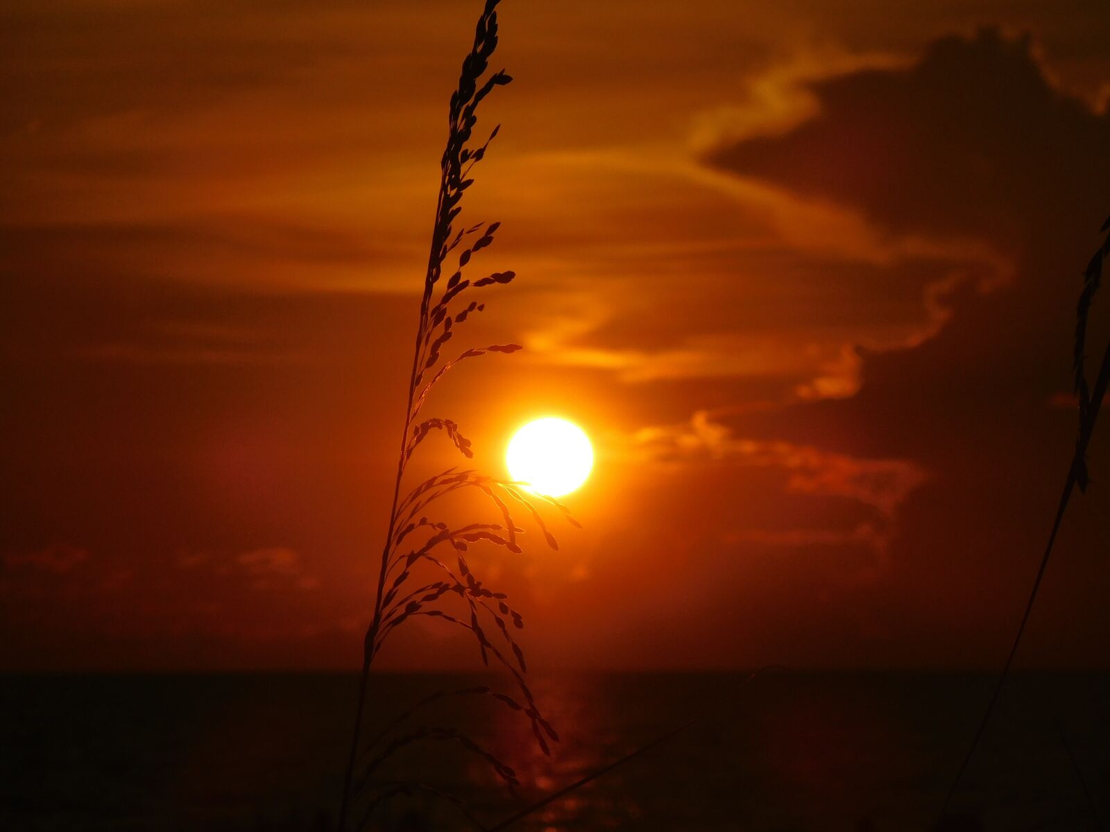 Nikon Coolpix S7000 sample photo. Sun set, ocean, sun photography