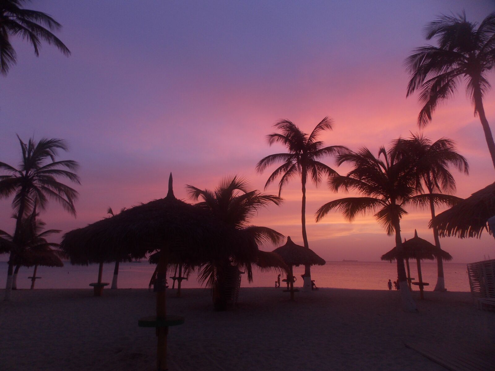 Nikon Coolpix L810 sample photo. Palms, aruba, dawn photography