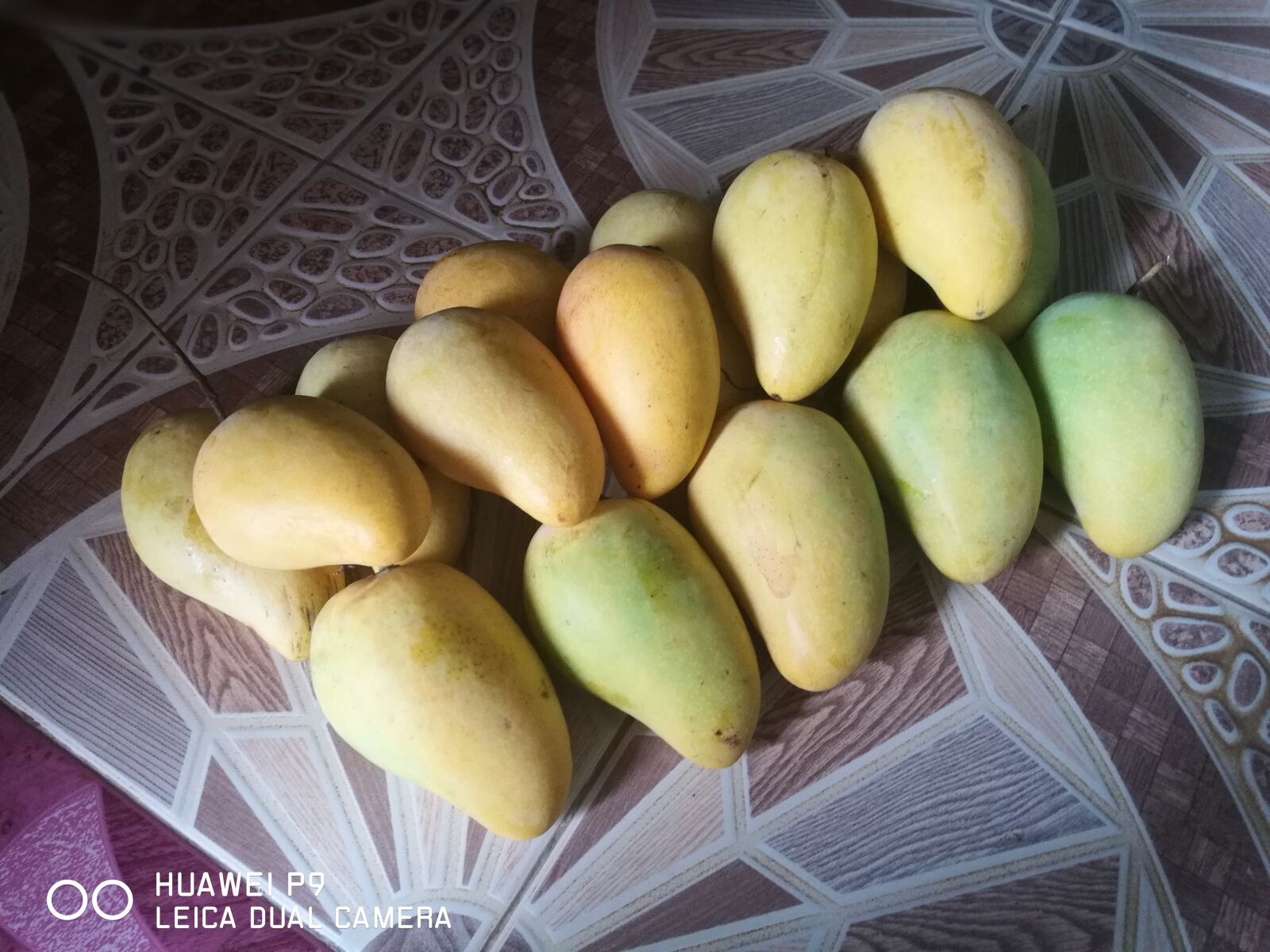 HUAWEI P9 sample photo. Ripe mango, mango chok photography