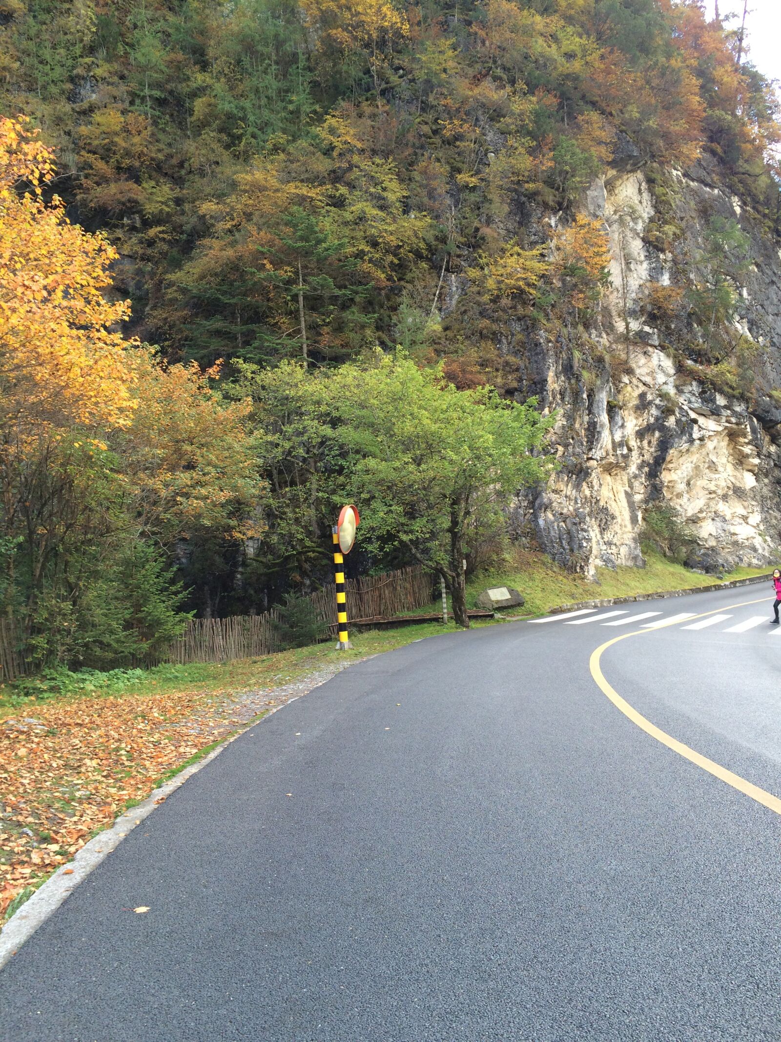 iPhone 5s back camera 4.15mm f/2.2 sample photo. 秋天, 公路, 山 photography