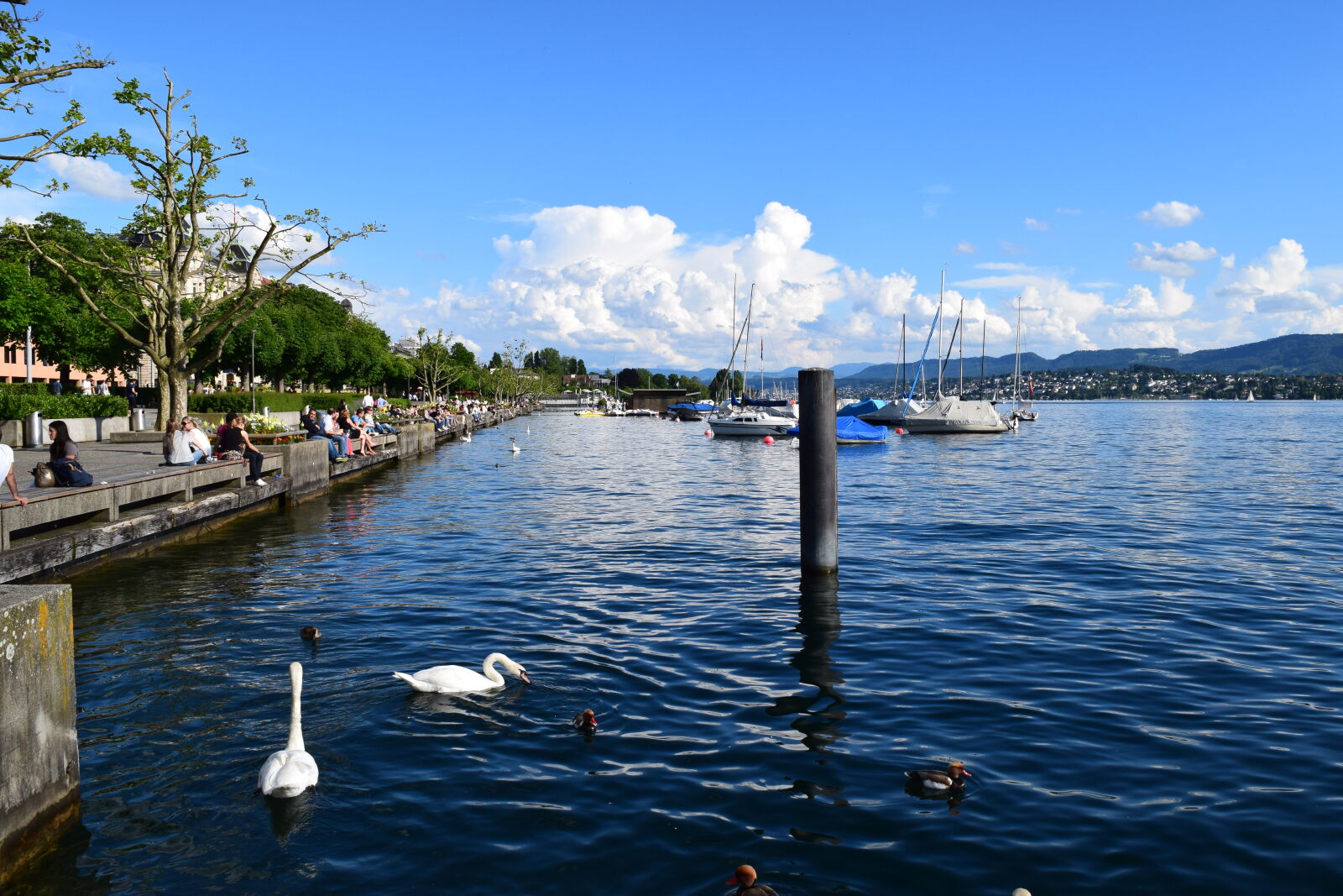 Nikon D3300 sample photo. Europe, lake, nature, summer photography