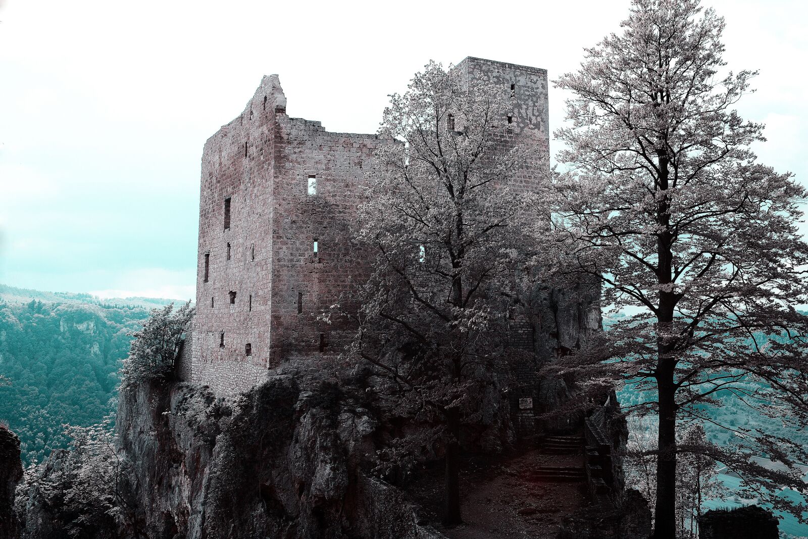 Nikon D7100 sample photo. Castle, middle ages, building photography
