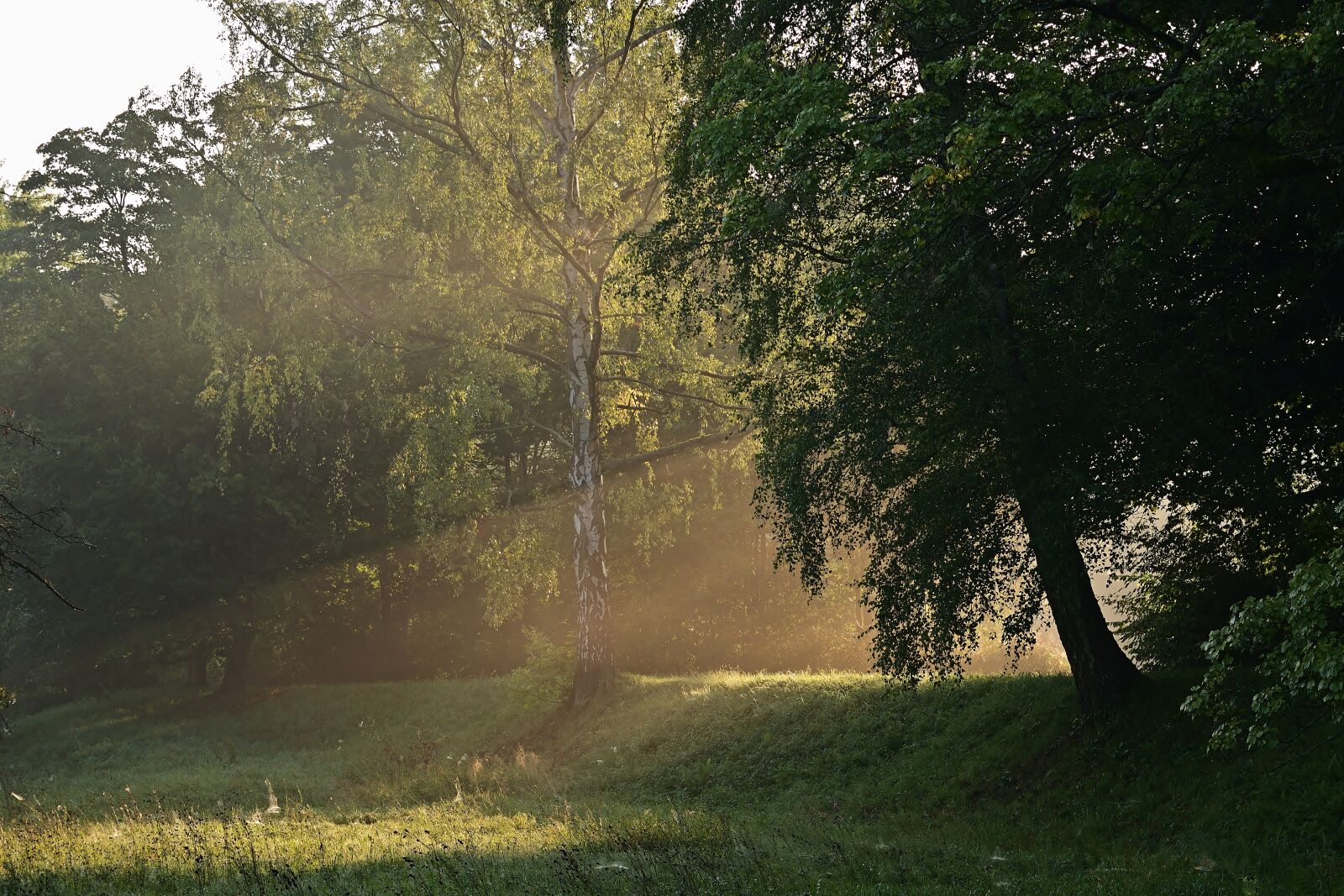 Nikon D5200 sample photo. Sunrise, mood, landscape photography
