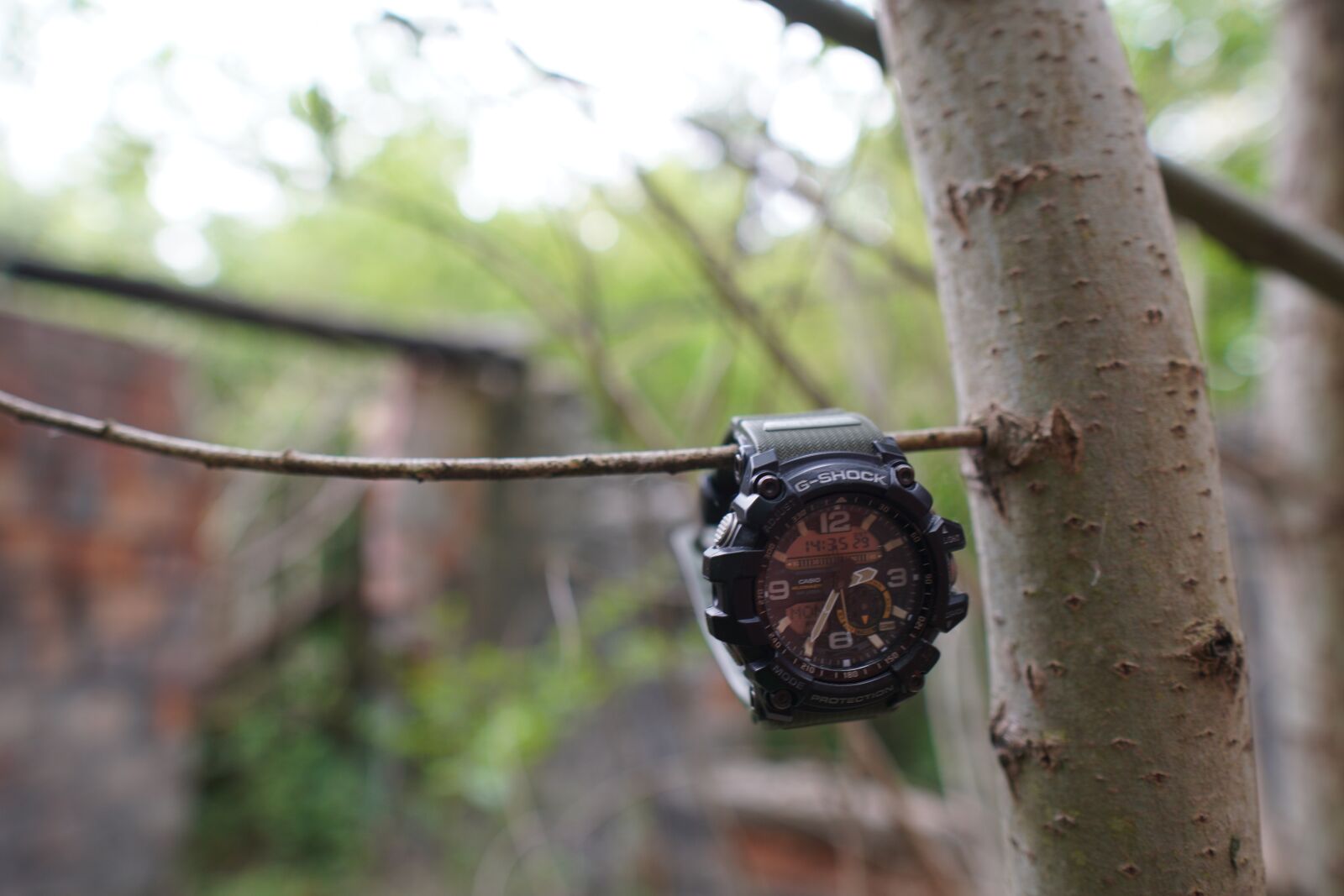 Sony a6400 + Sigma 16mm F1.4 DC DN | C sample photo. Casio, forest, a watch photography