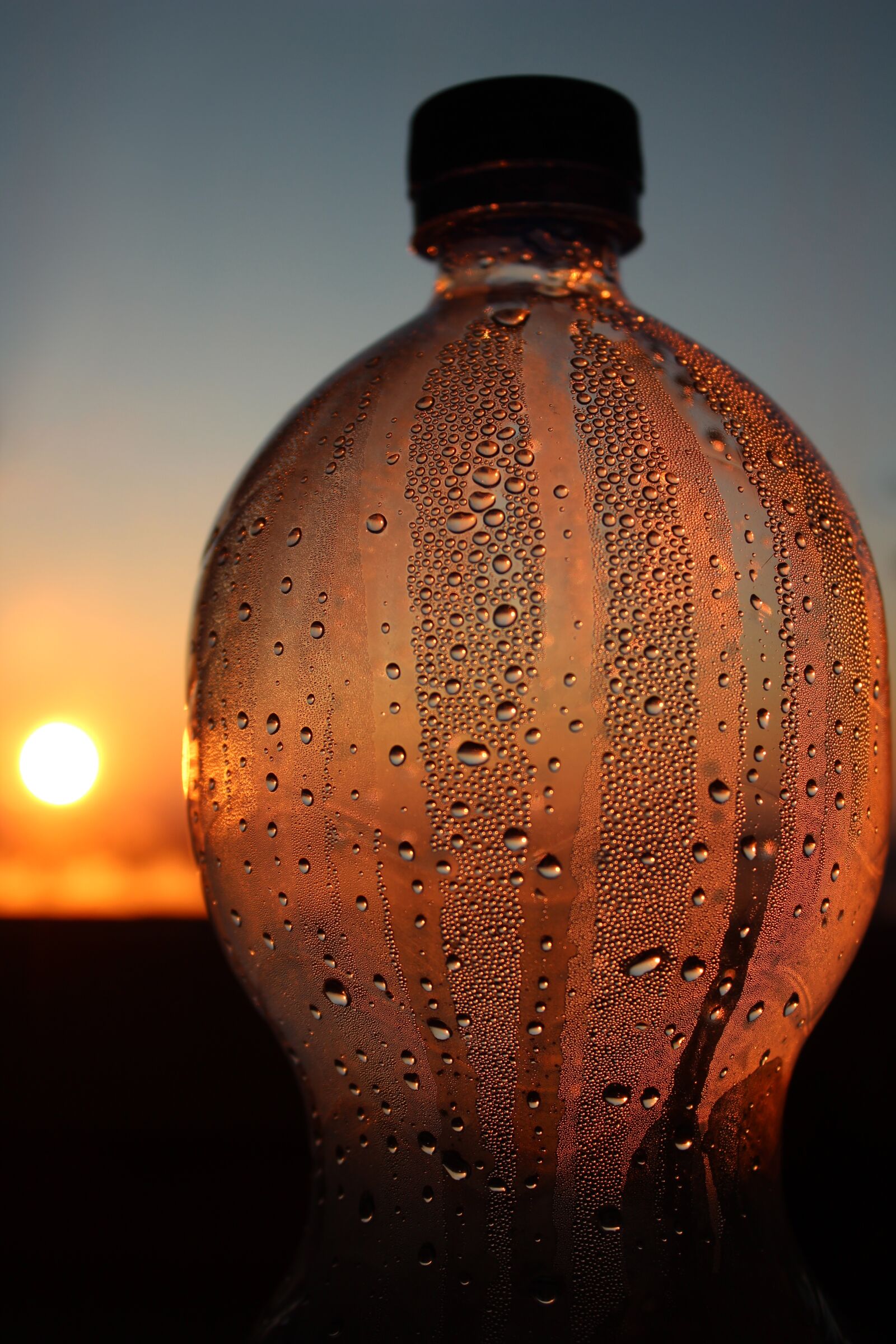 Canon EOS 1300D (EOS Rebel T6 / EOS Kiss X80) sample photo. Bottle, transparency, sunset photography