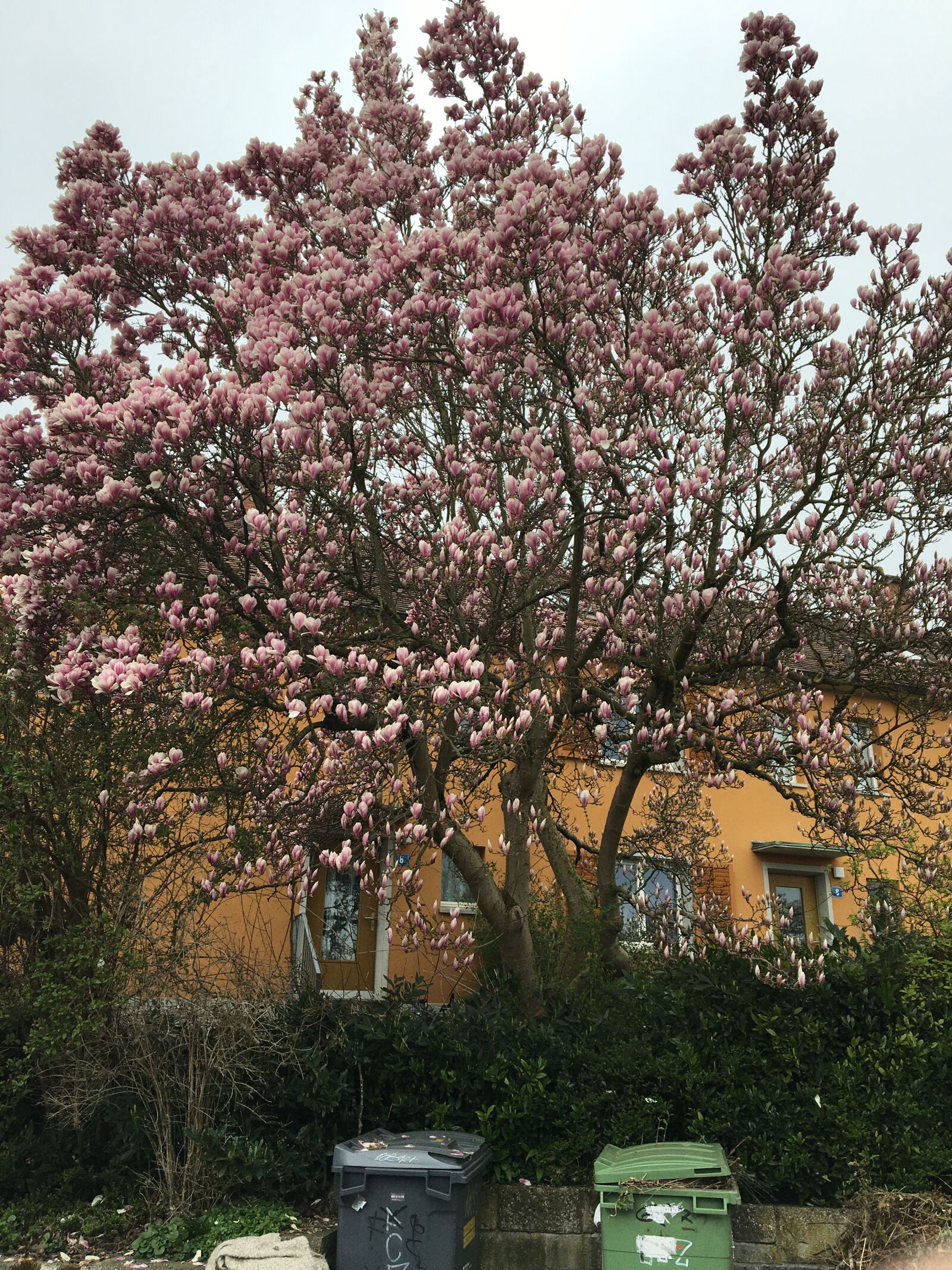 Apple iPhone 6s sample photo. Spring, switzerland, mood photography