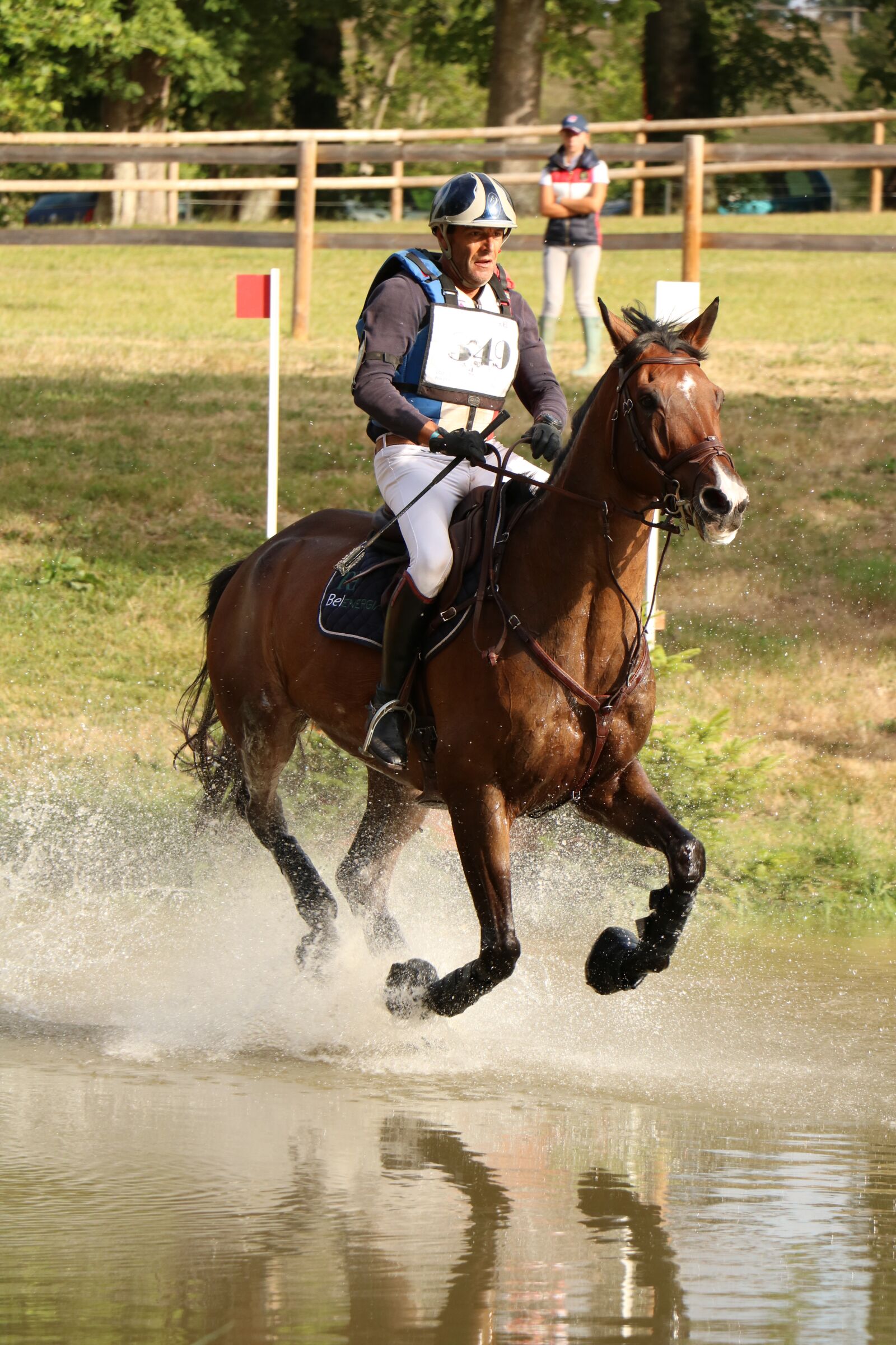 Canon EOS 750D (EOS Rebel T6i / EOS Kiss X8i) sample photo. Haras du pin, national photography