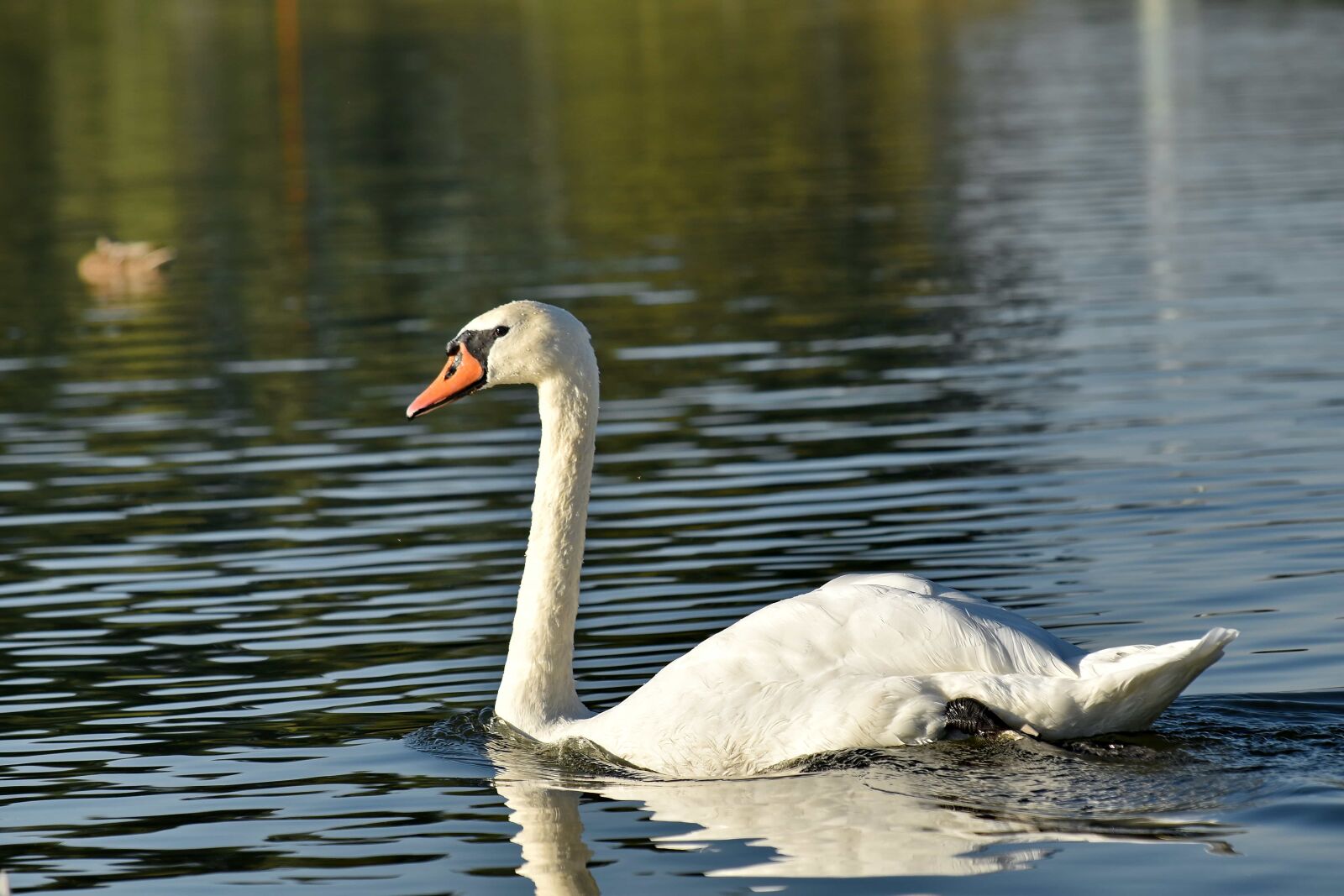 Nikon D5500 sample photo. Beautiful photo, national park photography