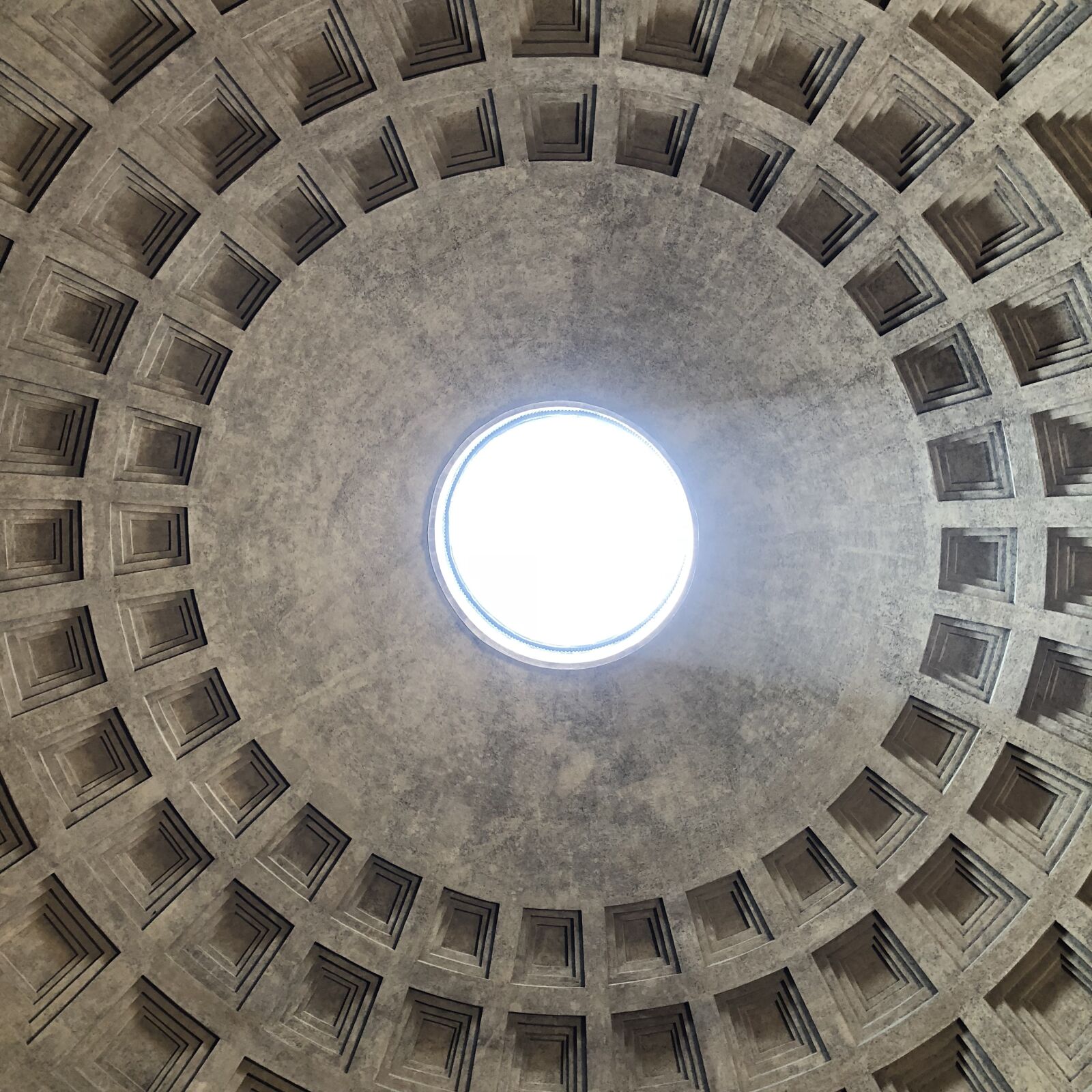 Apple iPhone 8 + iPhone 8 back camera 3.99mm f/1.8 sample photo. Pantheon, ceiling, rome photography