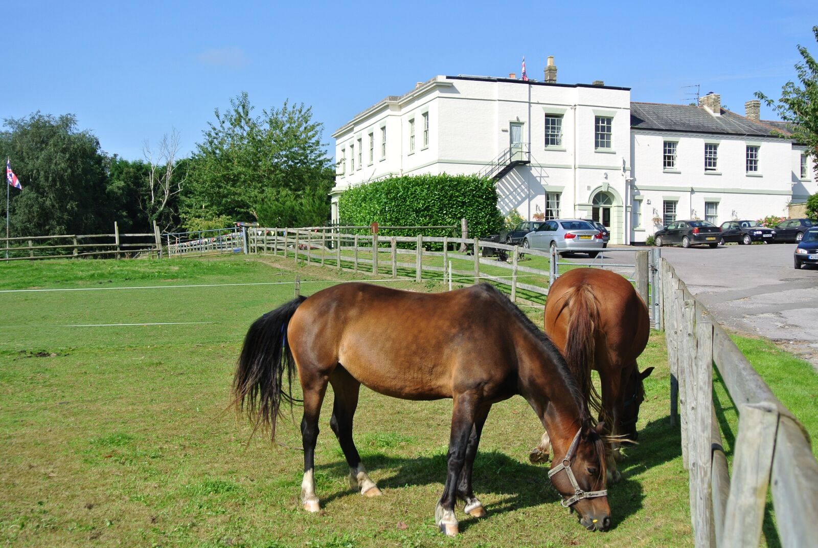 Nikon 1 J1 sample photo. Country house, horses, country photography