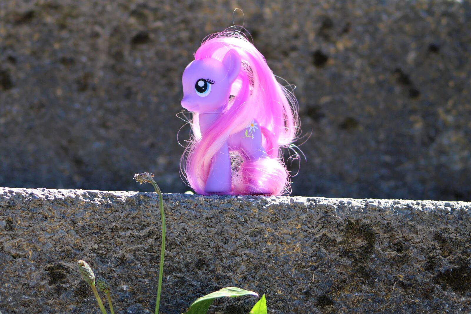 Canon EF75-300mm f/4-5.6 sample photo. My little pony, toys photography