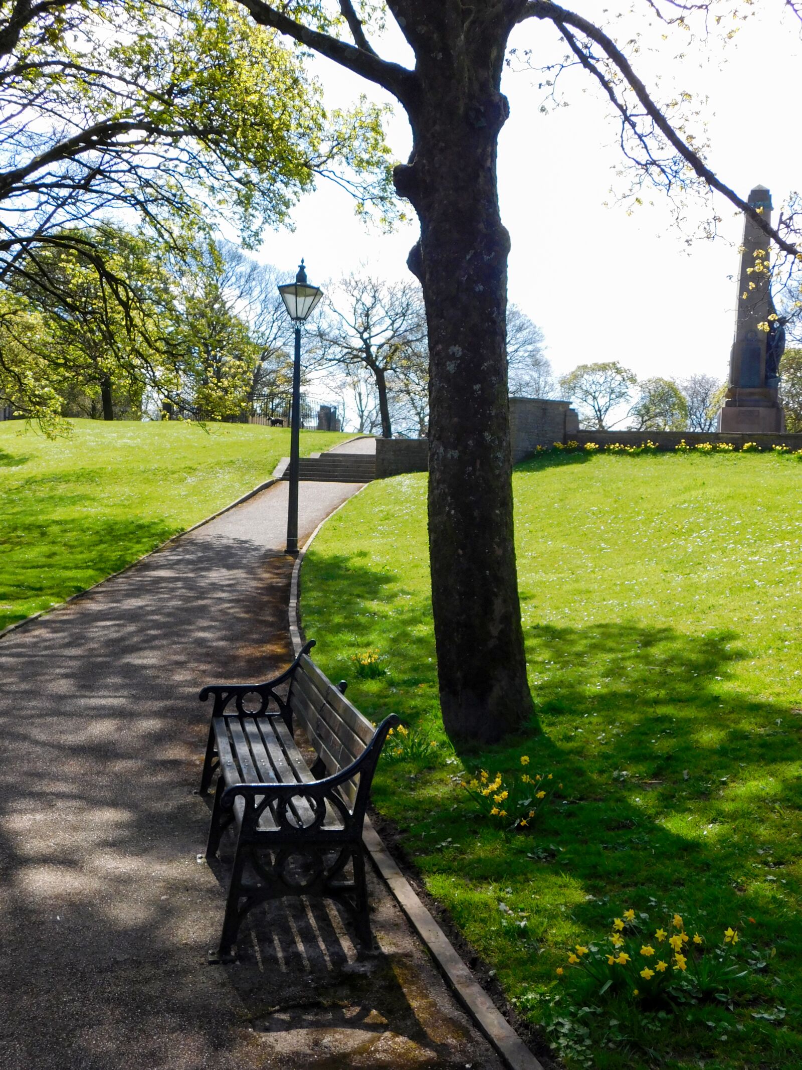 Nikon Coolpix L840 sample photo. Bench, park bench, wooden photography