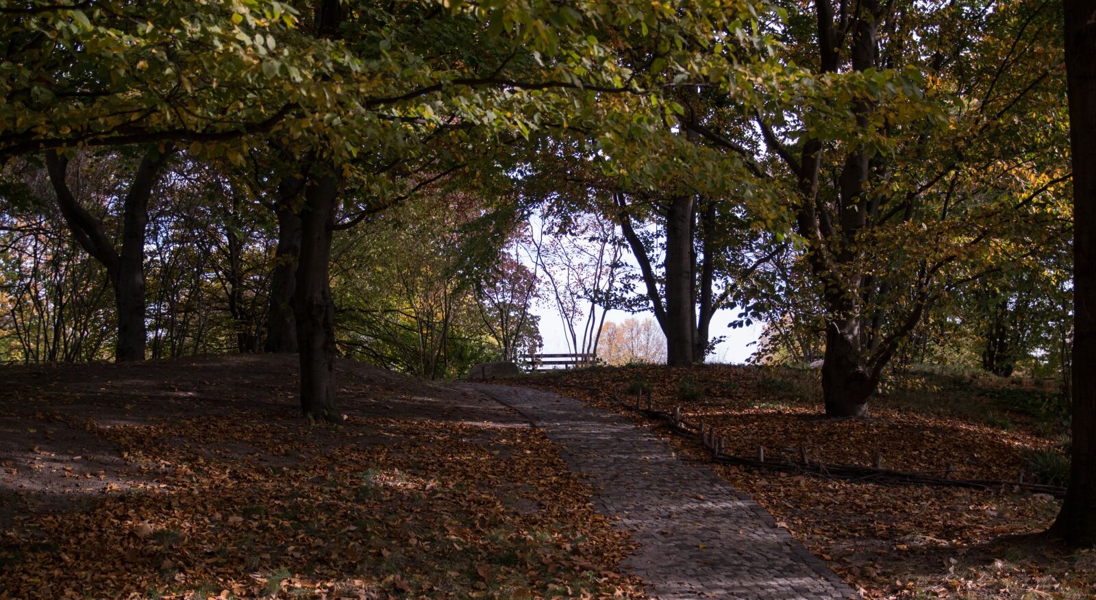 Pentax K-3 sample photo. Autumn, park, nature photography