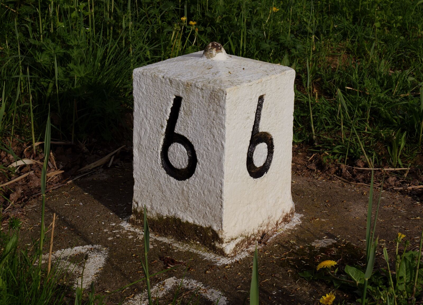 Nikon D5300 sample photo. Bollard, on the water photography