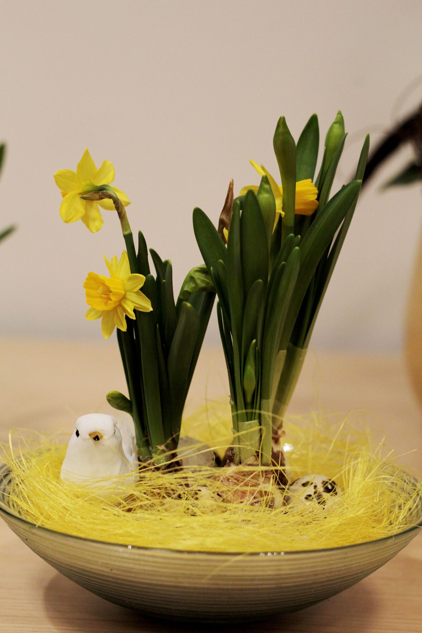 Canon EOS 600D (Rebel EOS T3i / EOS Kiss X5) + Canon EF 50mm F1.8 STM sample photo. Paasstuk, easter, flower arranging photography