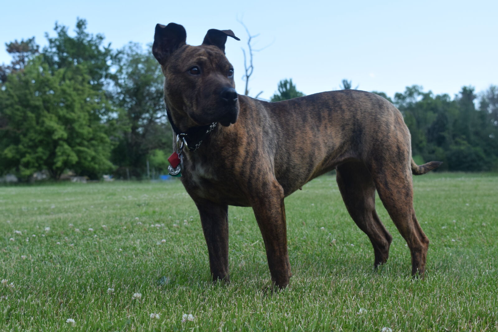 Nikon D3300 sample photo