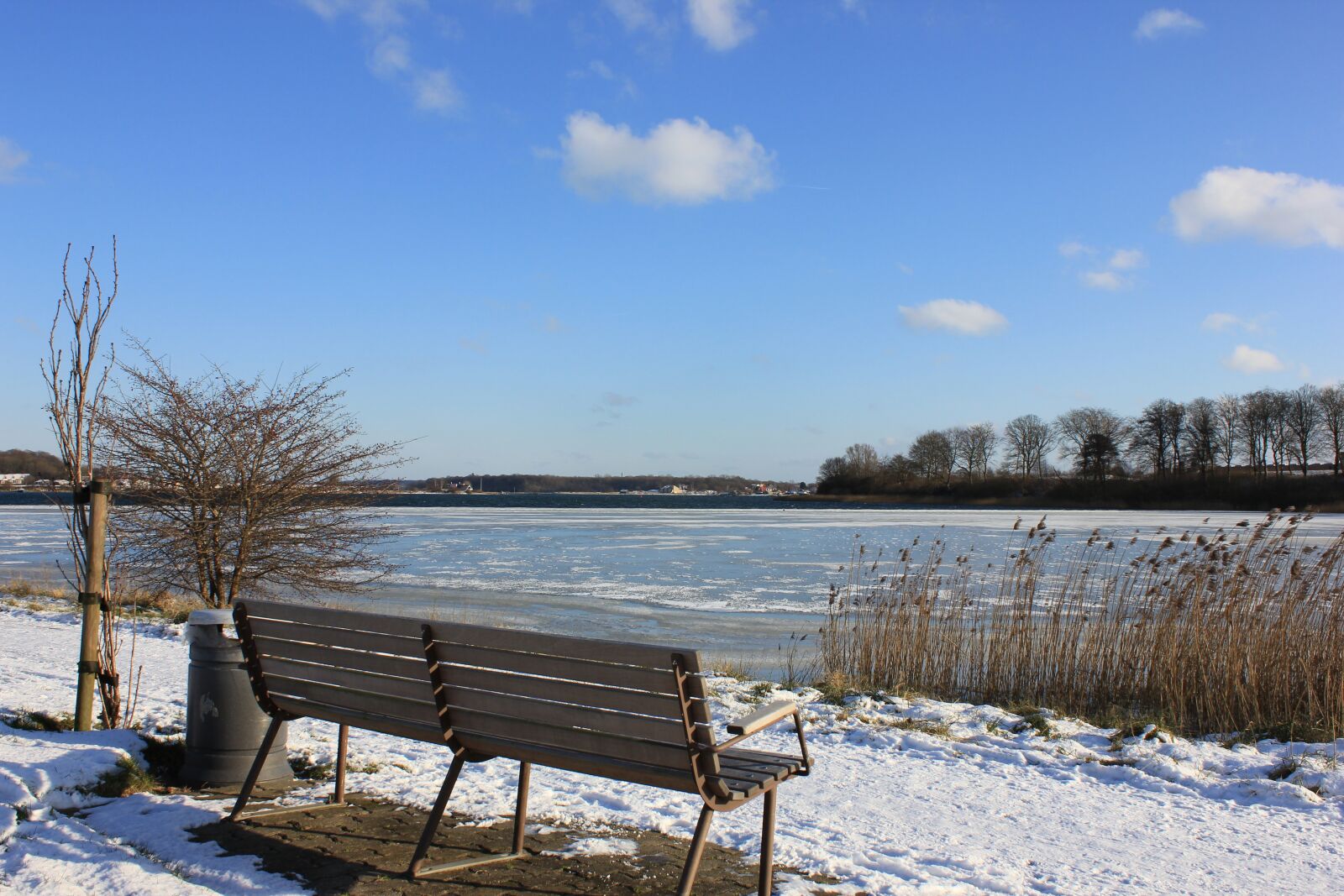 Canon EOS 550D (EOS Rebel T2i / EOS Kiss X4) sample photo. Winter, water, ocean photography