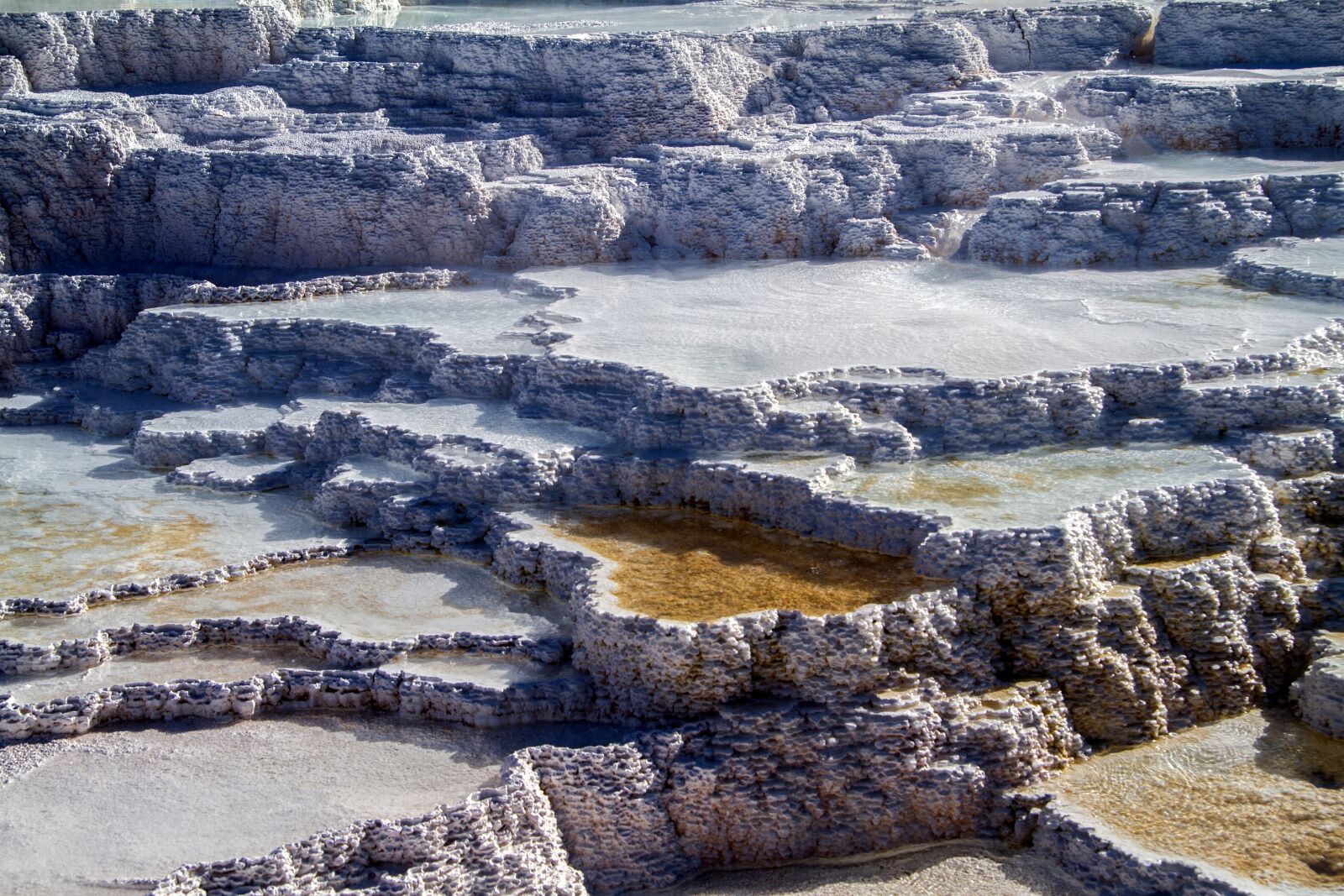 Canon EOS 7D sample photo. Yellowstone national park, wyoming photography