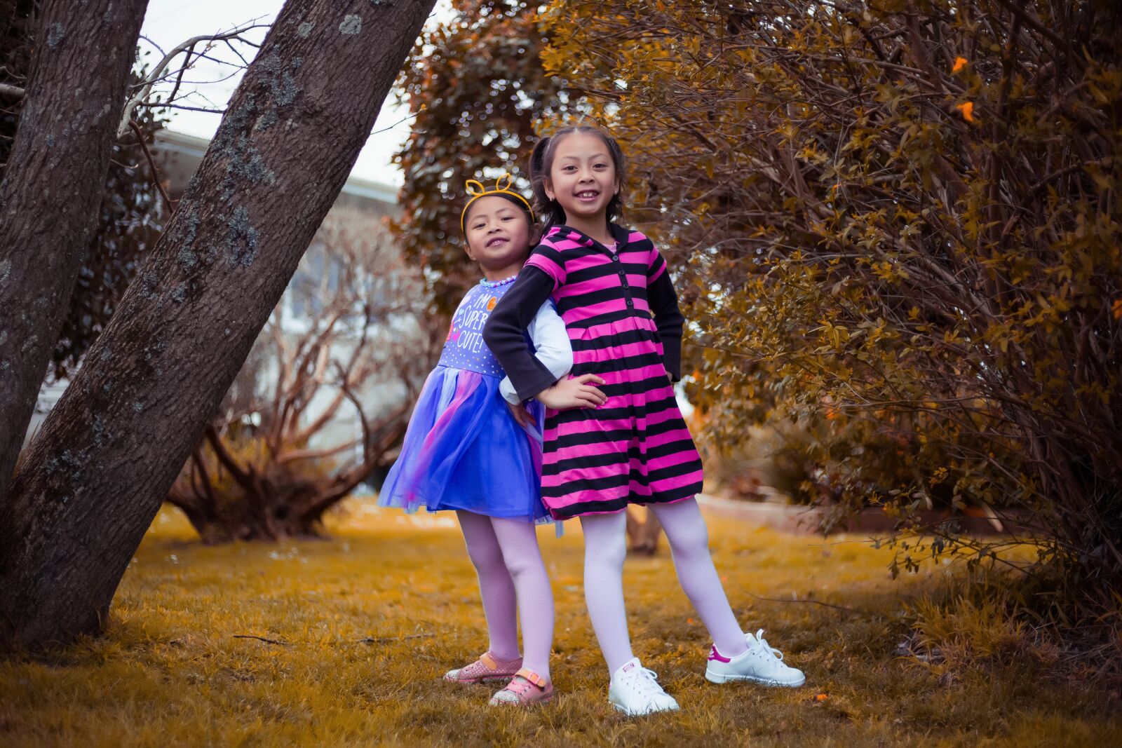 Canon EOS 6D + Canon EF 50mm F1.8 STM sample photo. Fall, child, outdoors photography