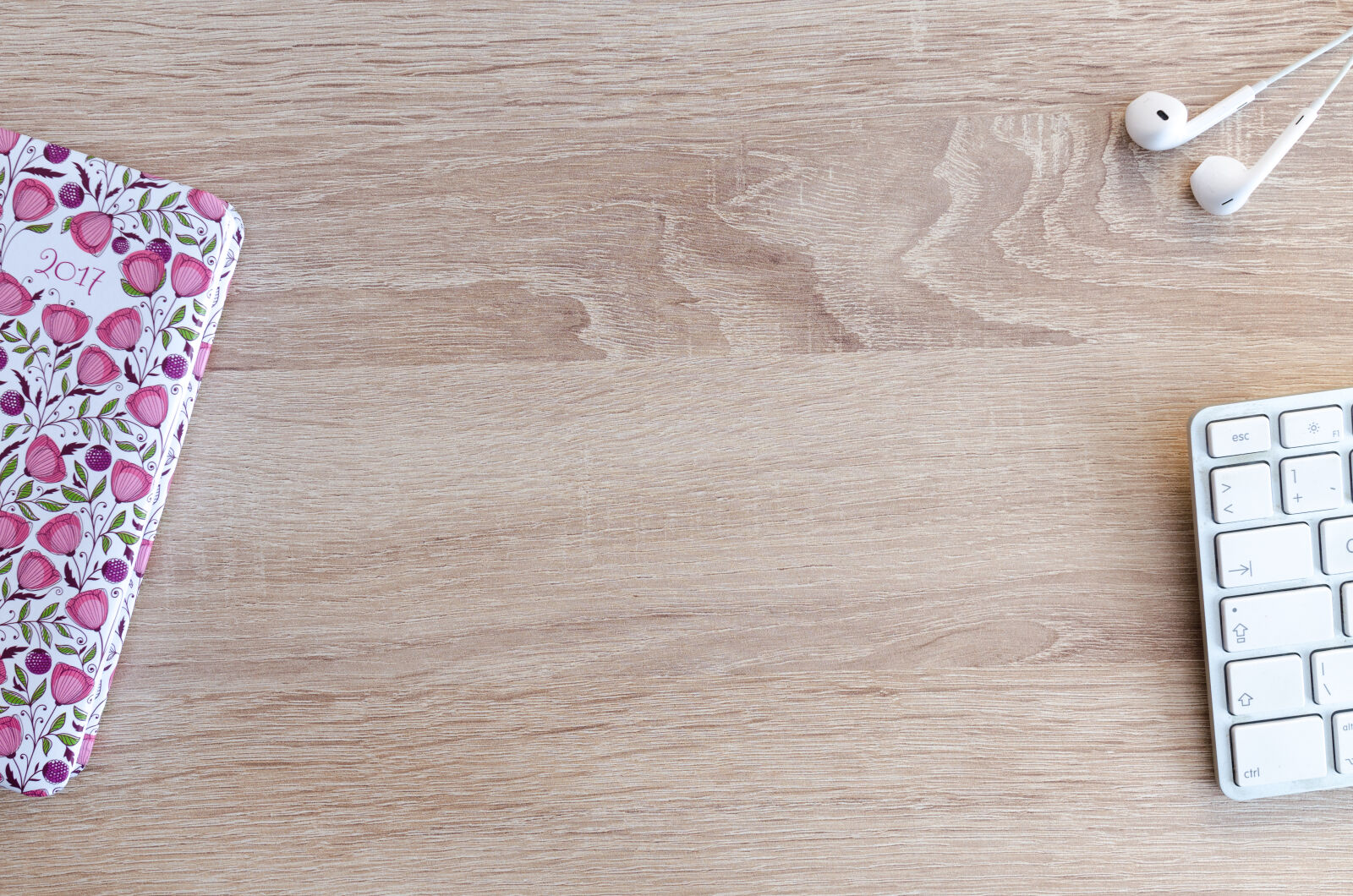 Nikon D5100 sample photo. Above, background, blank, business photography