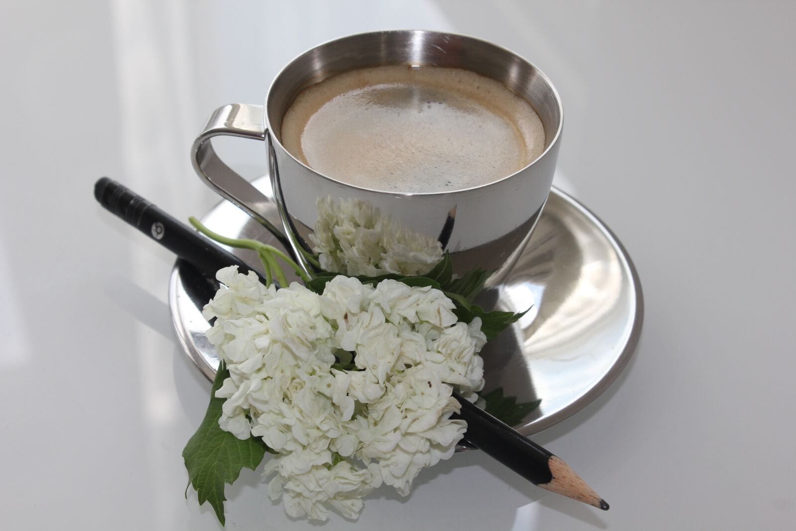 Canon EOS 550D (EOS Rebel T2i / EOS Kiss X4) sample photo. Coffee, flower, still life photography
