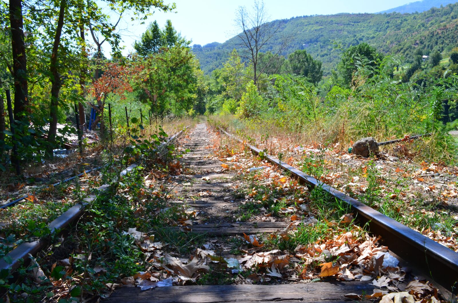 Nikon D5100 sample photo. Railroad, albania, forest photography