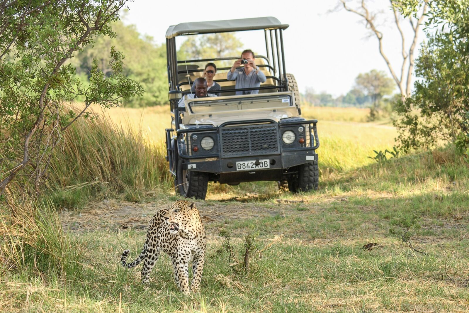 Canon EOS 40D sample photo. Leopard, africa, botswana photography