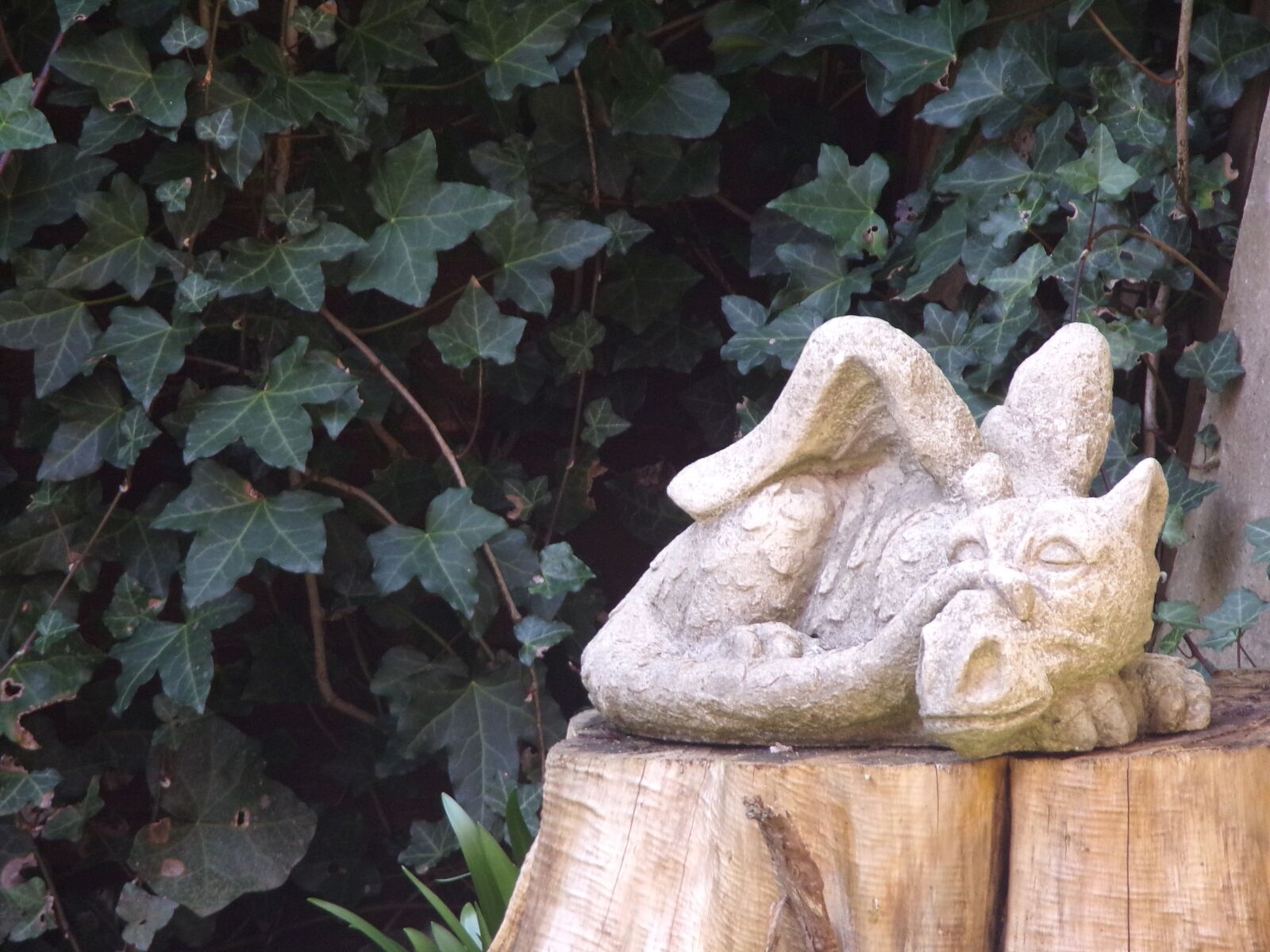 JK KODAK PIXPRO AZ421 sample photo. Garden, dragon, ornament photography