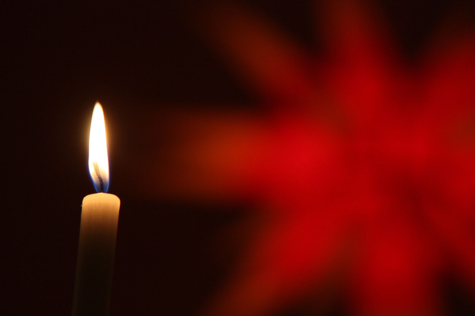 Canon EOS 450D (EOS Rebel XSi / EOS Kiss X2) sample photo. Christmas, star, candle photography
