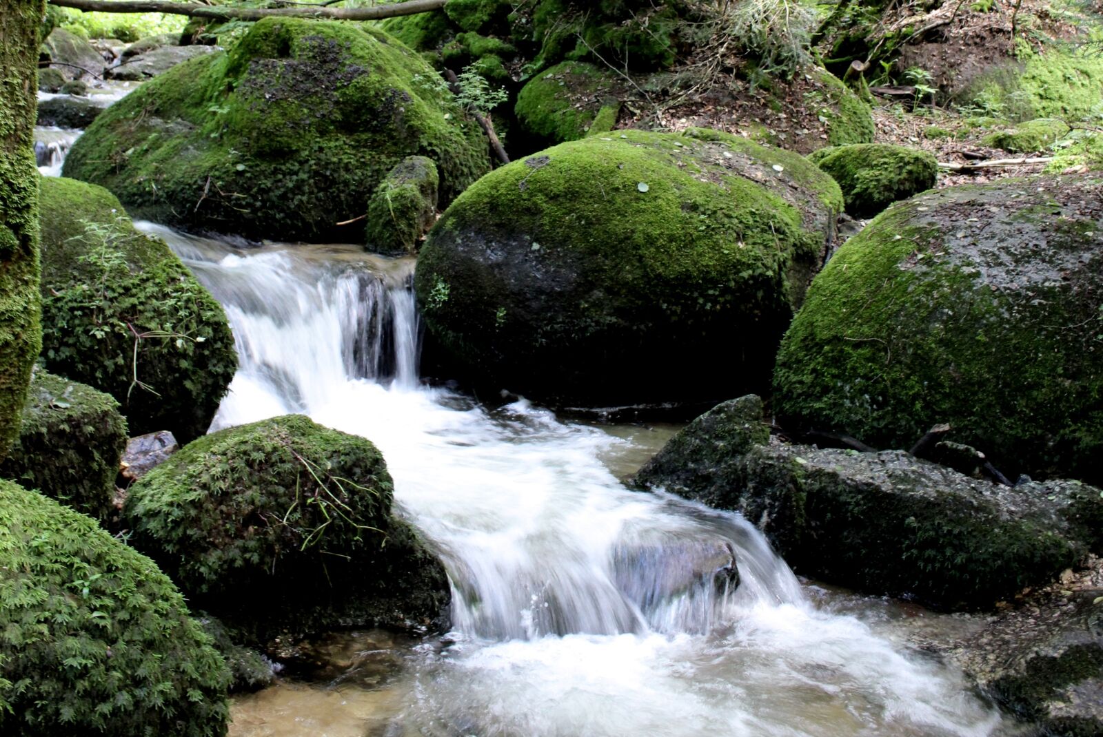Canon EOS 100D (EOS Rebel SL1 / EOS Kiss X7) sample photo. Water, stones, moss photography