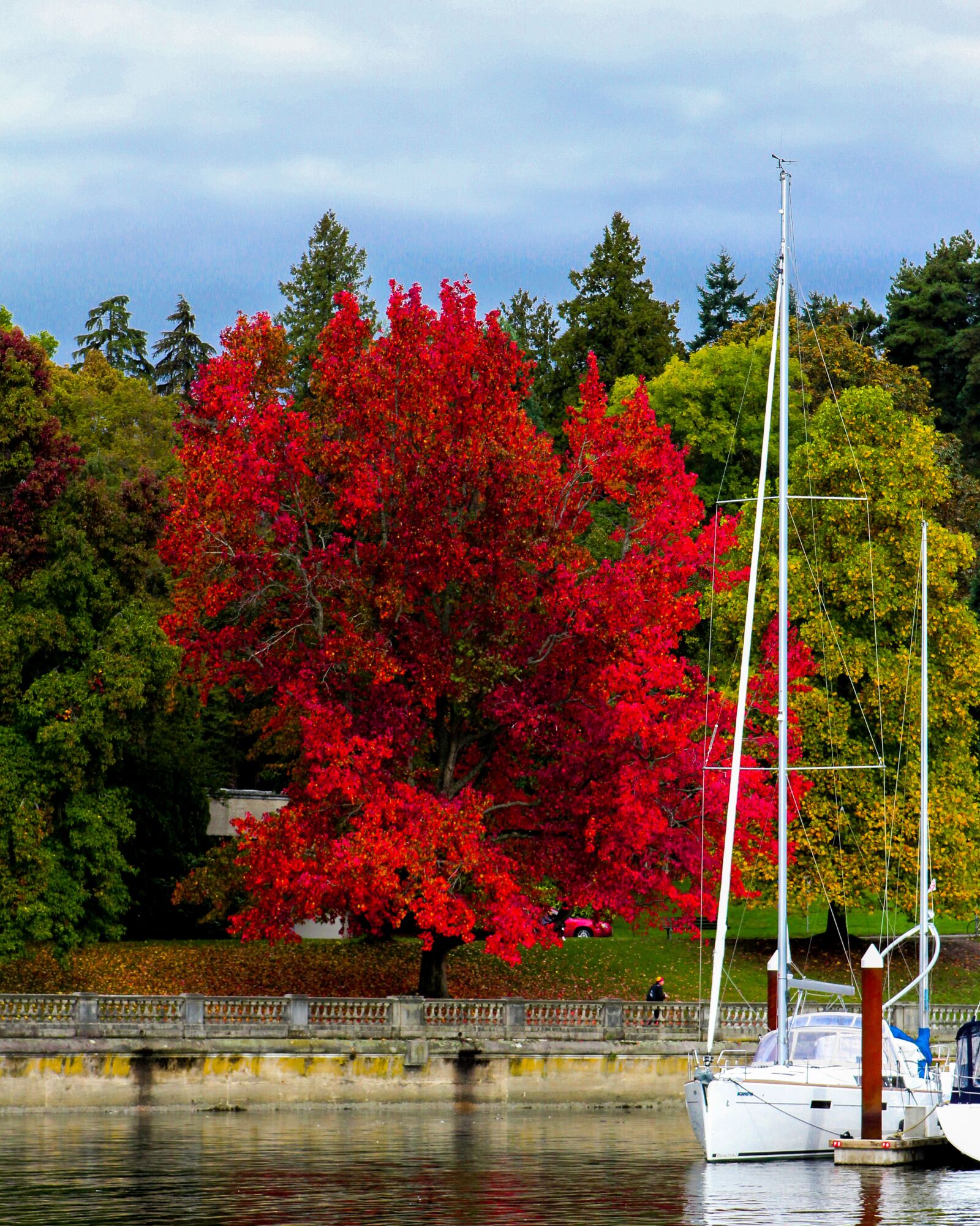 Canon EOS 60D sample photo. Stanley park, fall, autumn photography