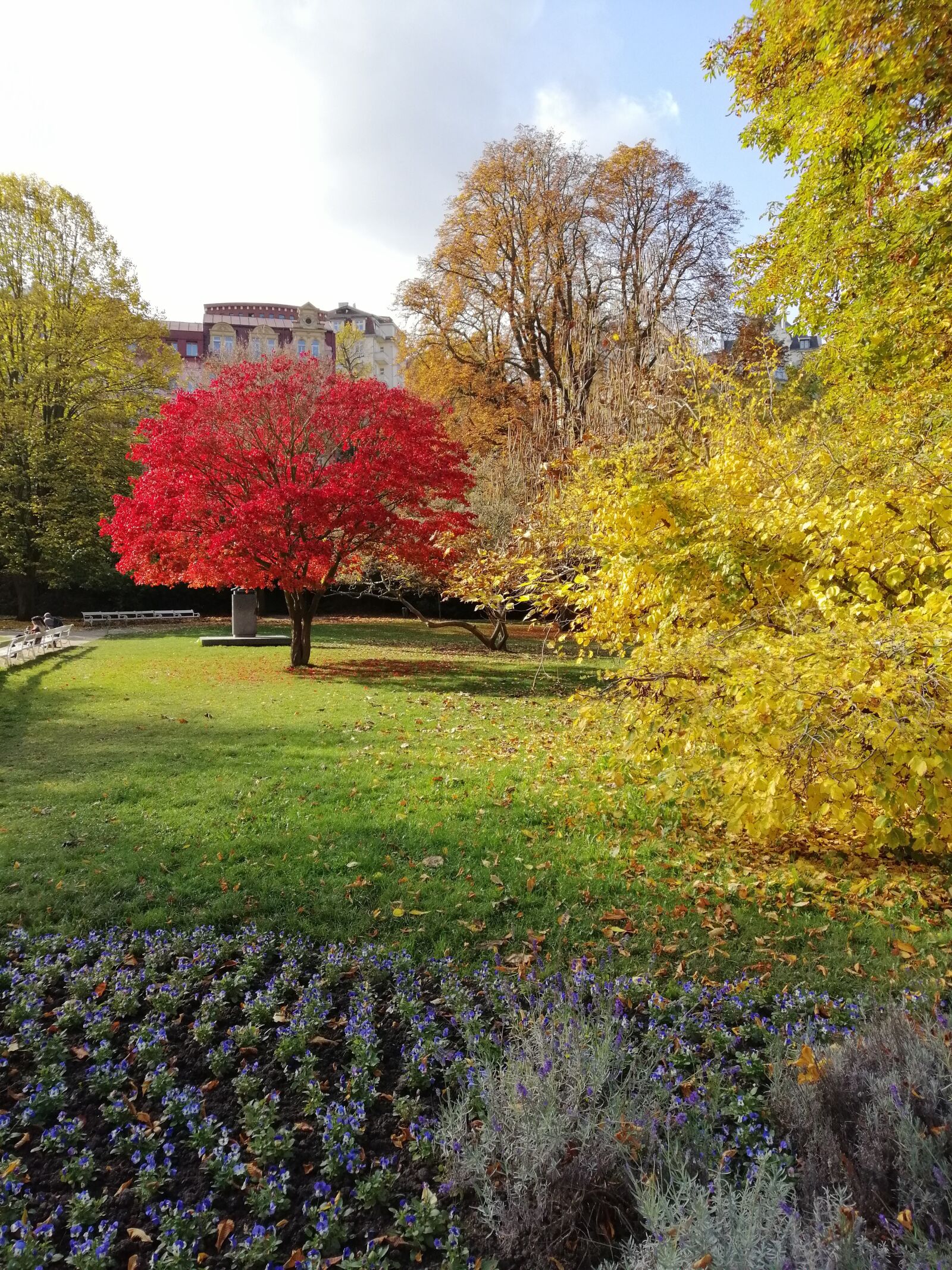 HUAWEI SNE-LX3 sample photo. Tree, red, autumn photography