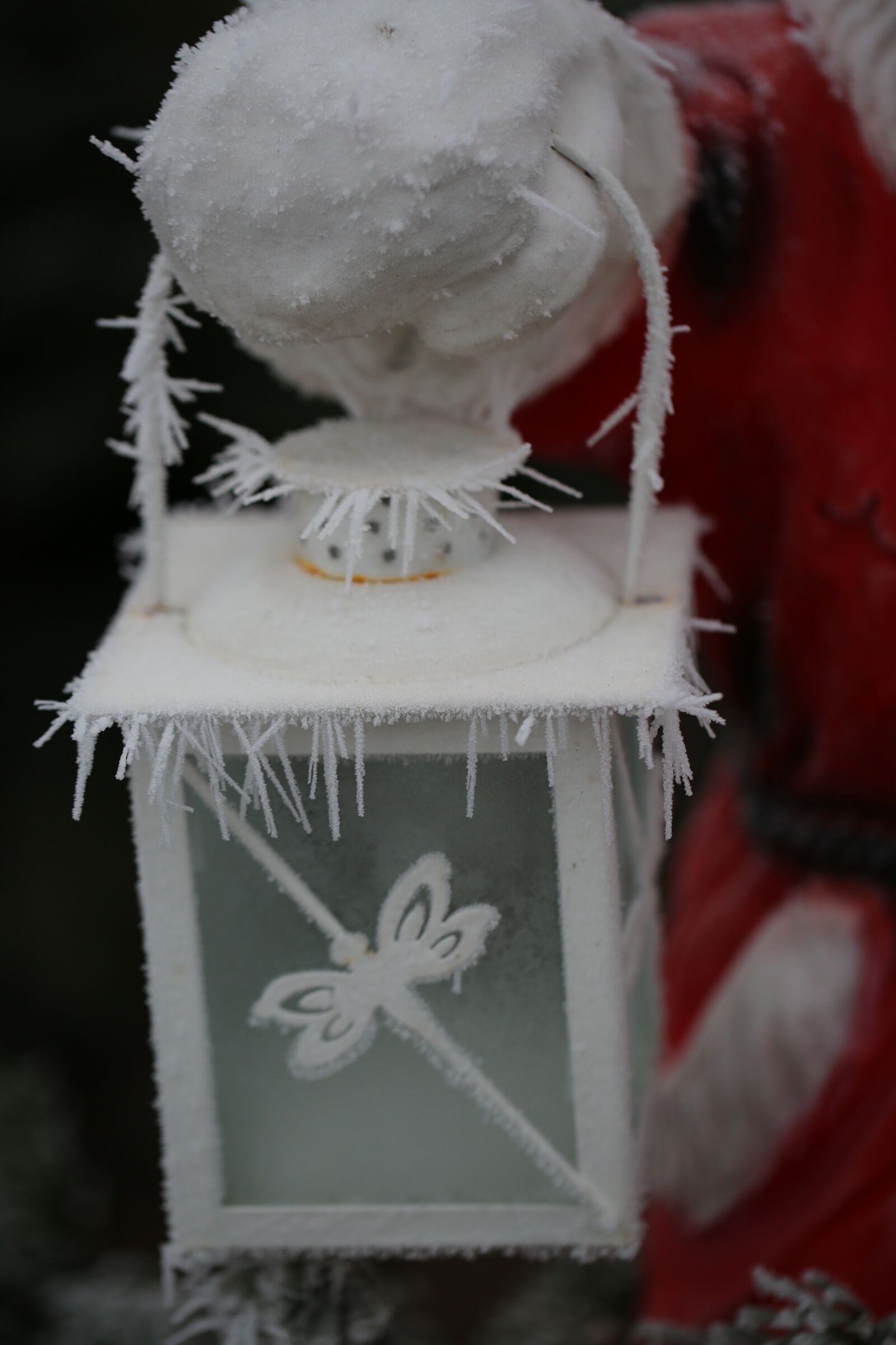 Canon EF 100mm F2.8L Macro IS USM sample photo. Hoarfrost, cold, lantern photography
