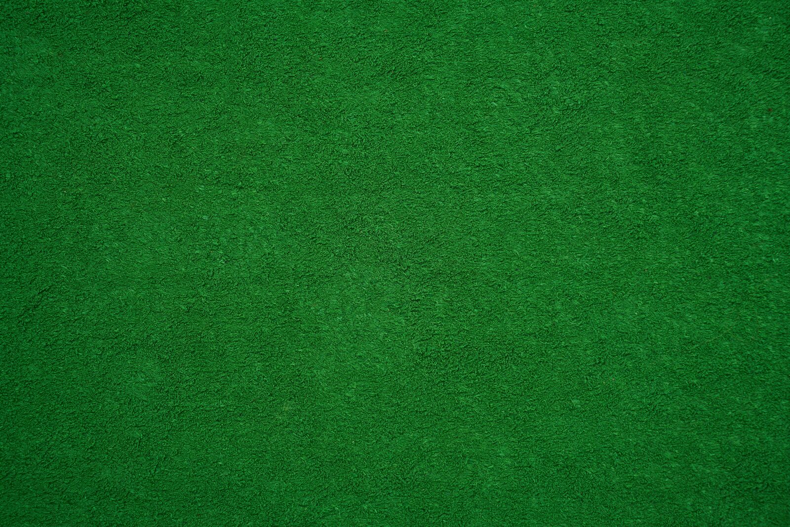 Sony a7R II + Sony Vario Tessar T* FE 24-70mm F4 ZA OSS sample photo. Green, texture, pattern photography
