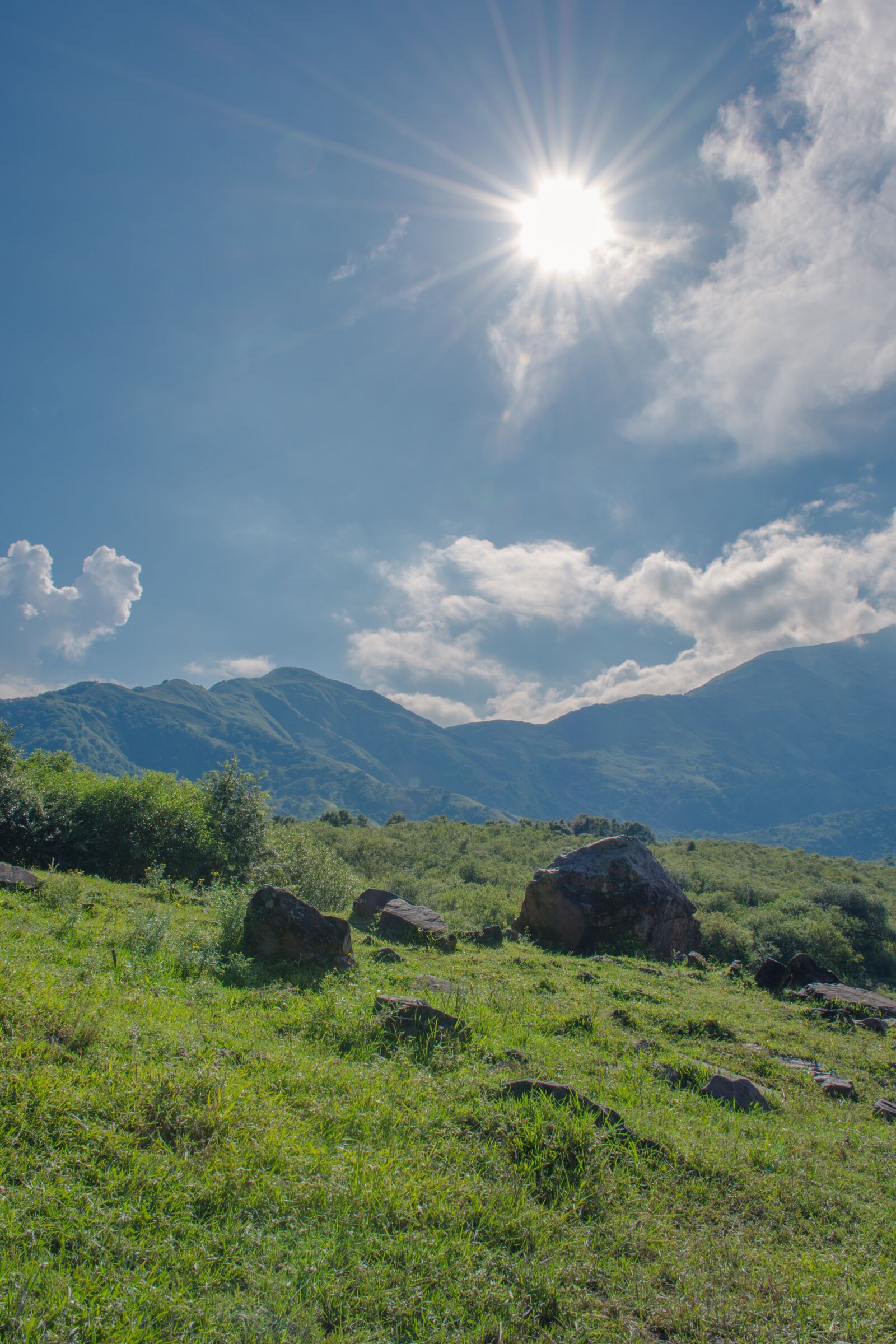 Nikon D7200 sample photo. Sun, sky, green photography