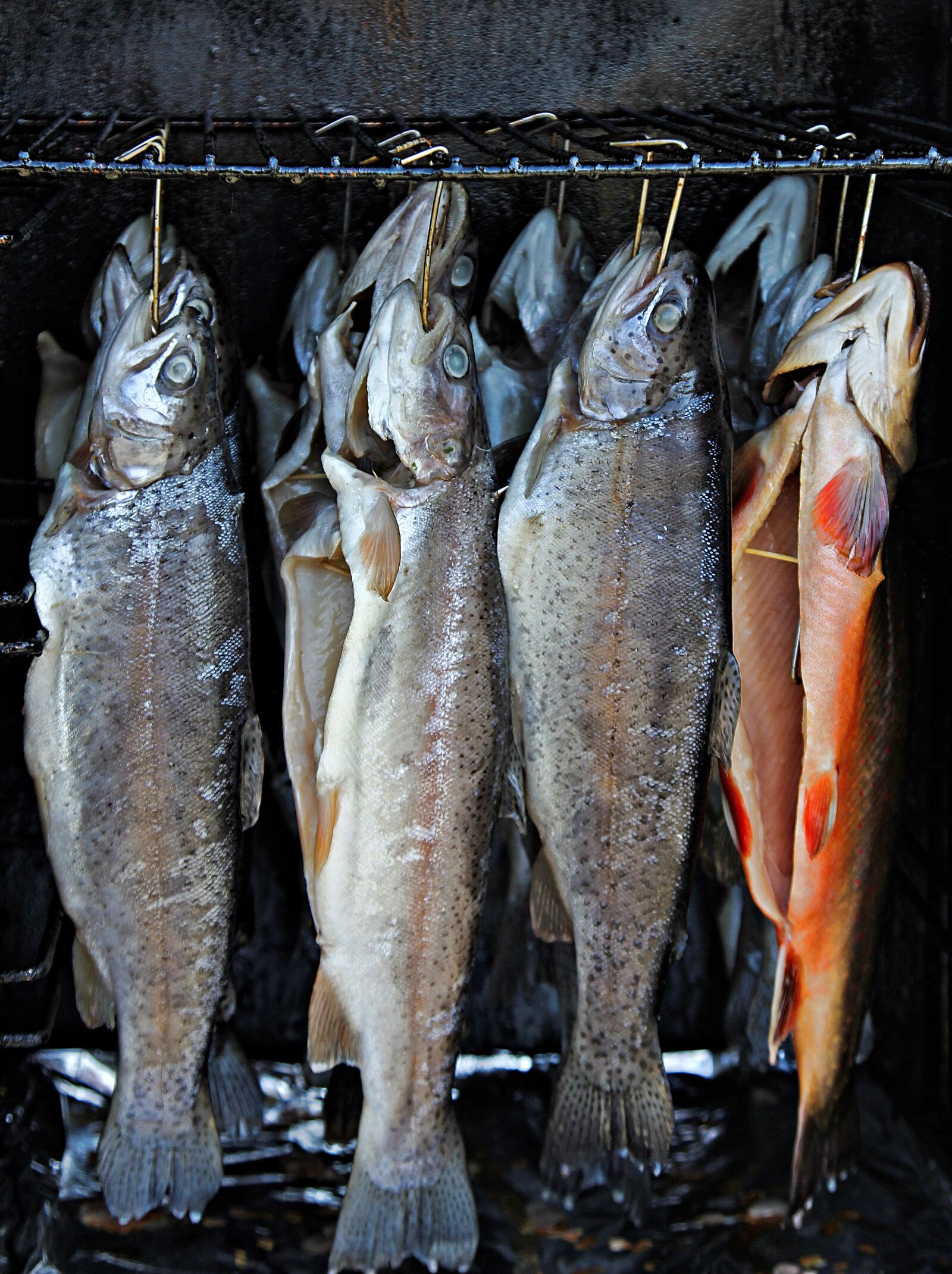 Canon EOS 60D + Canon EF 24-105mm F4L IS USM sample photo. Fish, fresh, eat photography
