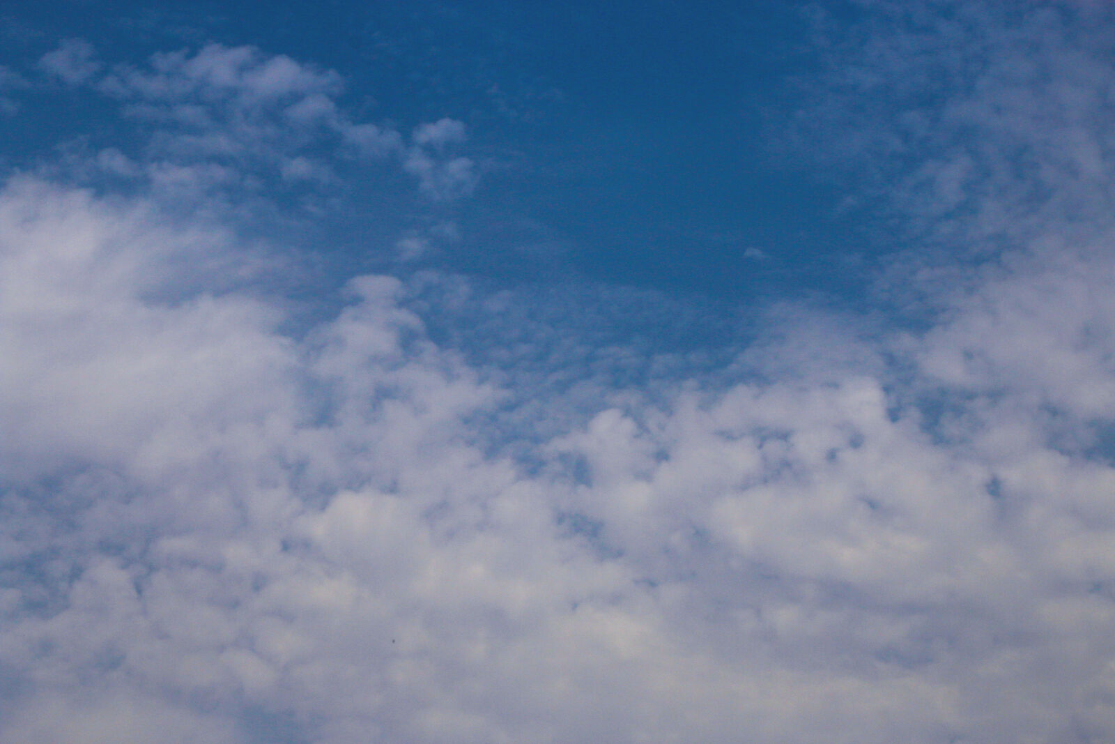 Canon EOS 70D + Canon EF 50mm F1.8 STM sample photo