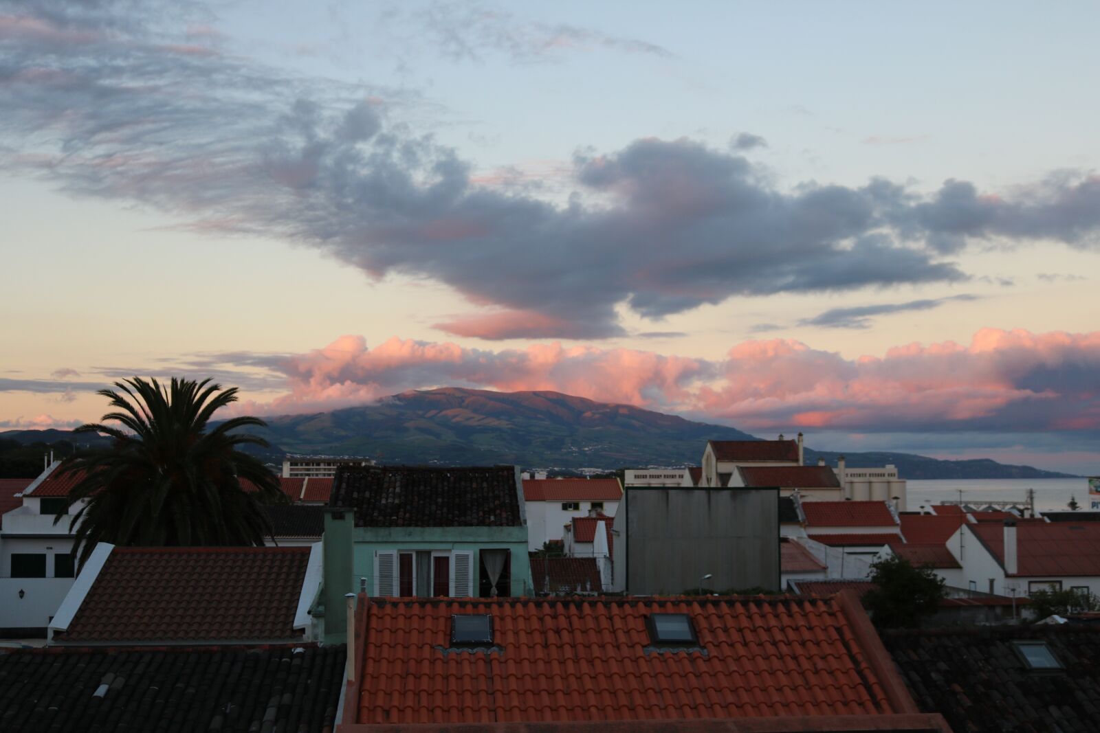 Canon EOS 750D (EOS Rebel T6i / EOS Kiss X8i) sample photo. Comanche, ponta delgada, s photography