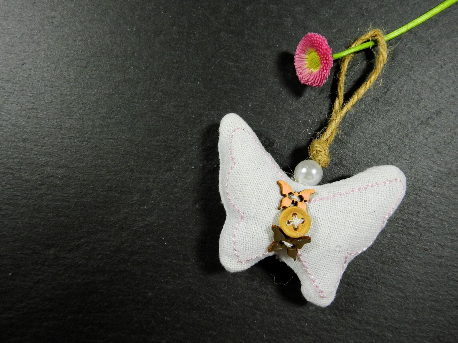Nikon Coolpix P900 sample photo. Pillow, button, butterfly photography