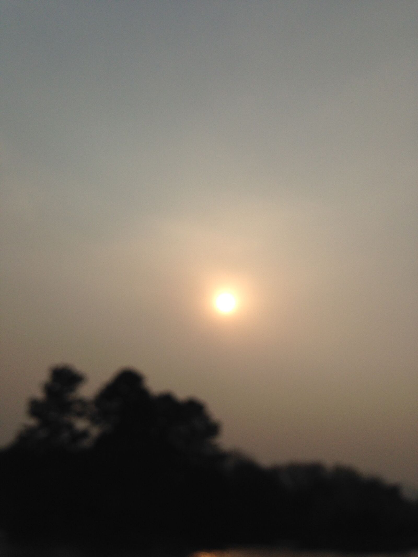 iPhone 5c back camera 4.12mm f/2.4 sample photo. Morning, sun photography