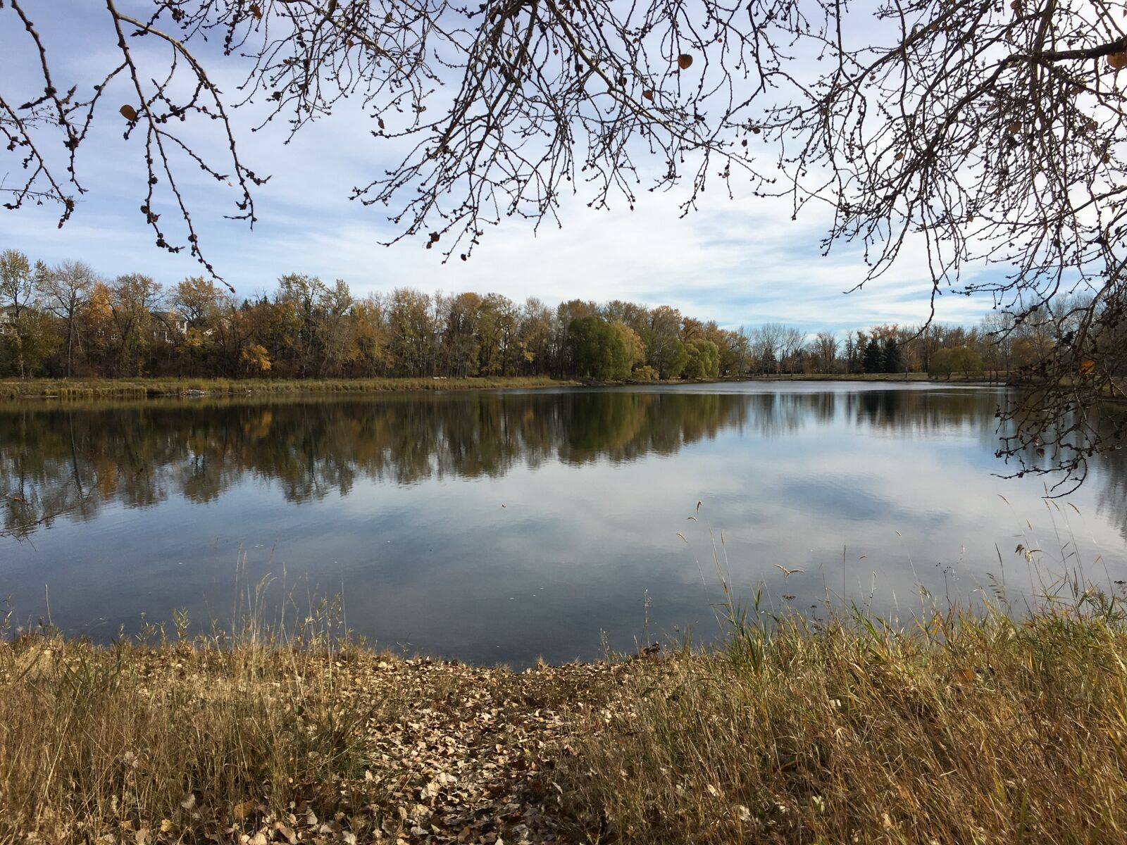 iPhone 6s back camera 4.15mm f/2.2 sample photo. Autumn, beaverdam, flats, natural photography