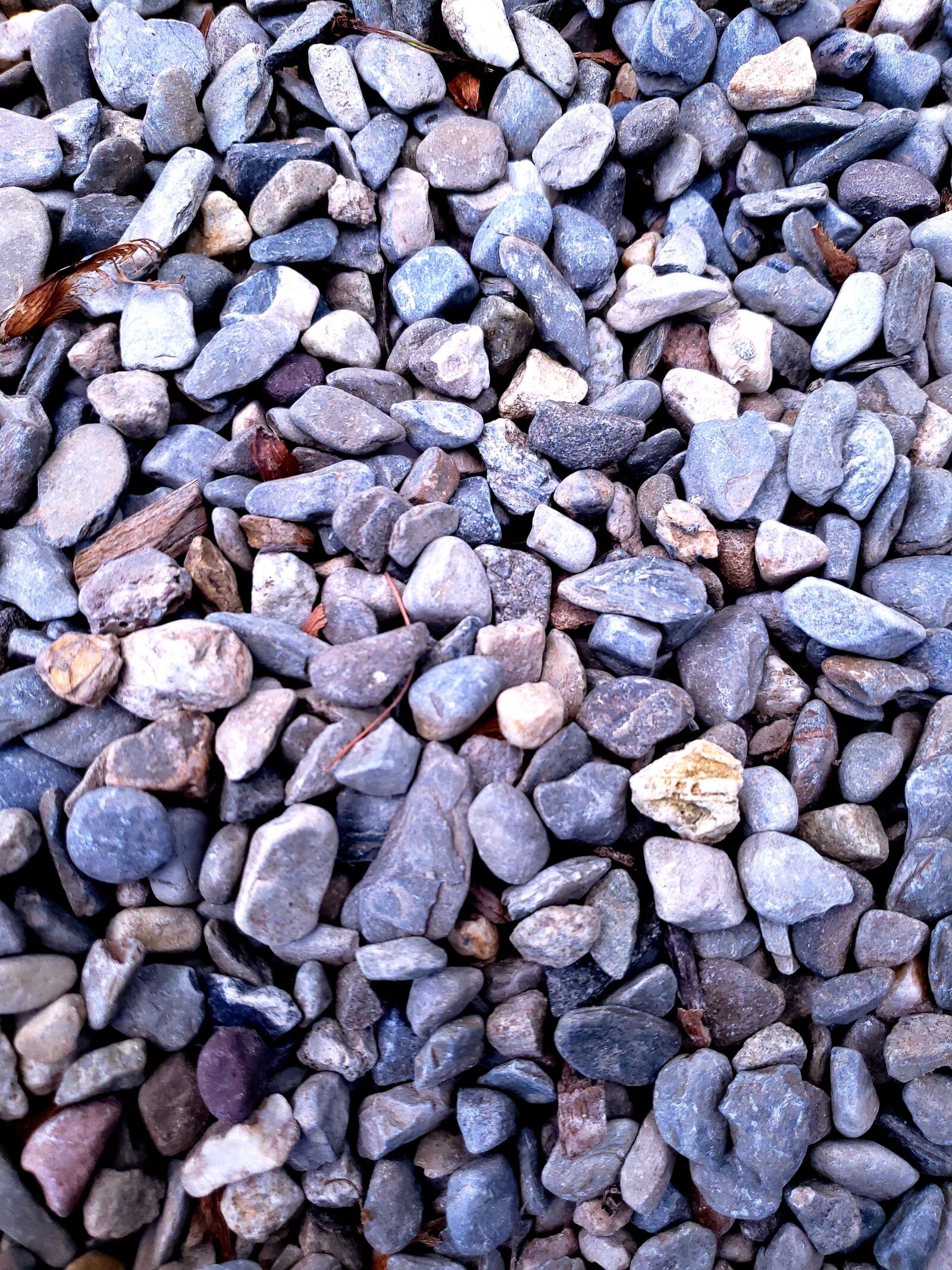 Samsung Galaxy S9+ sample photo. Gravel, pattern, abstract photography