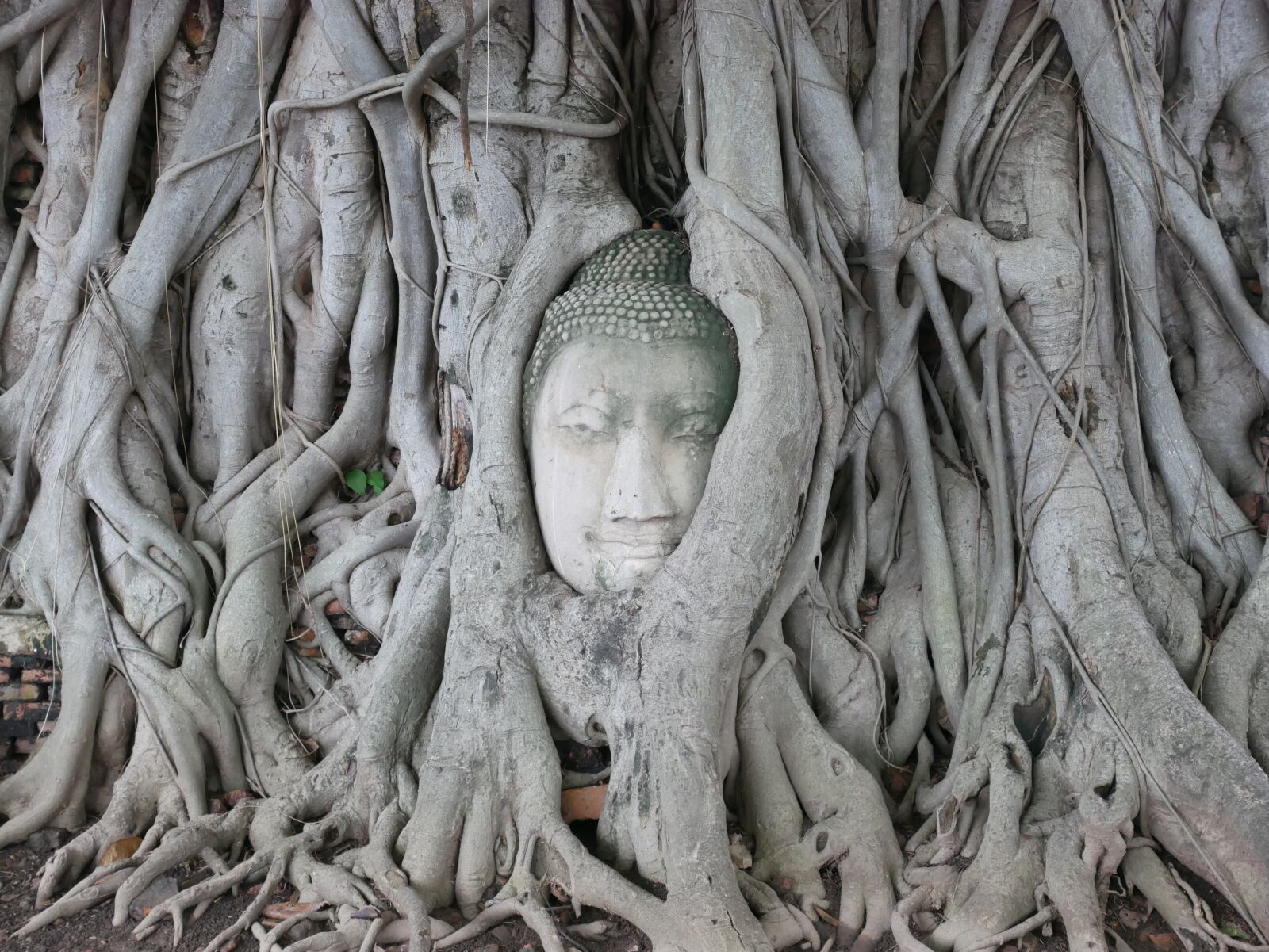 Panasonic Lumix DMC-GX85 (Lumix DMC-GX80 / Lumix DMC-GX7 Mark II) sample photo. Thailand, buddha, measure photography