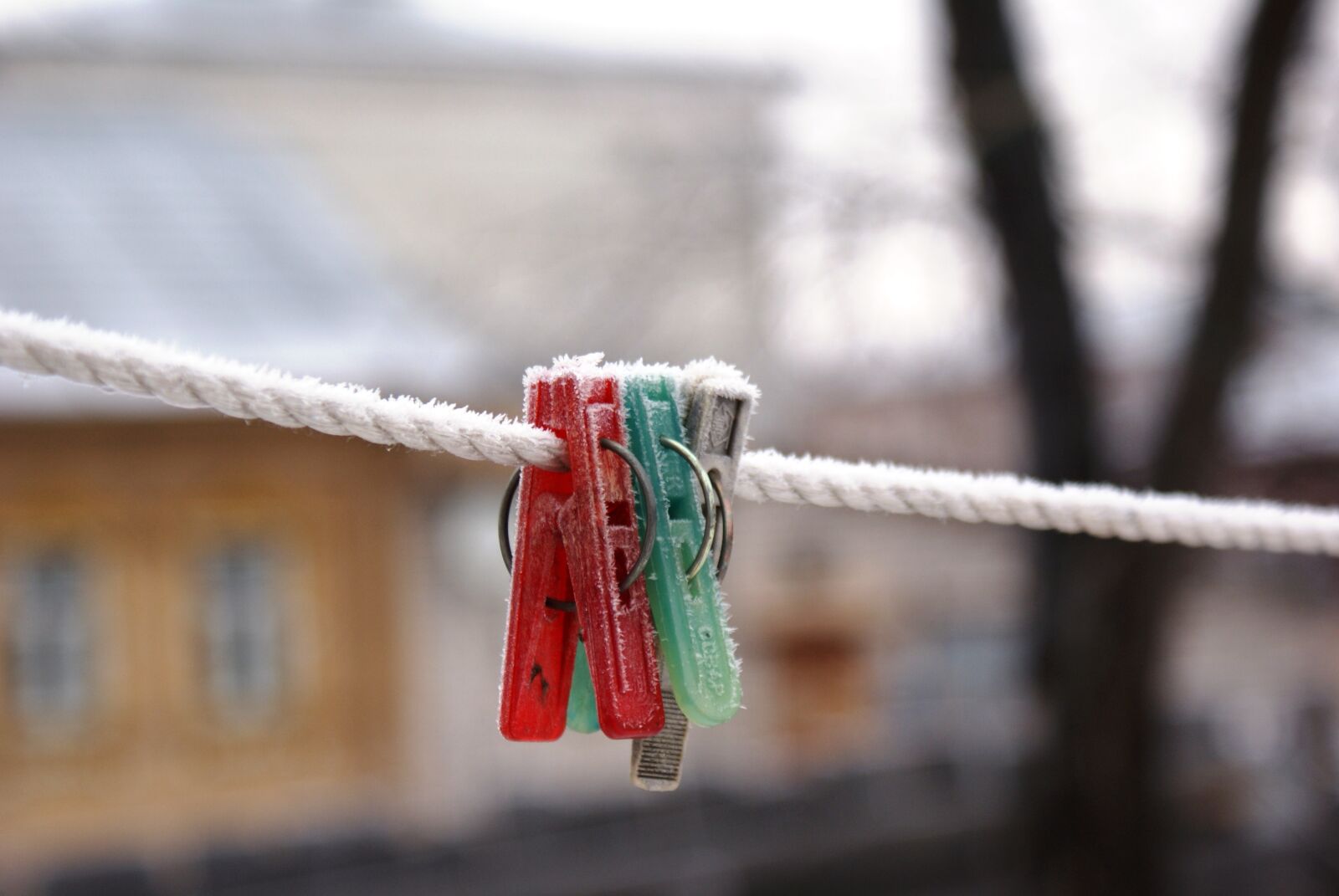 Sony Alpha DSLR-A300 sample photo. Freezing, winter, snow photography