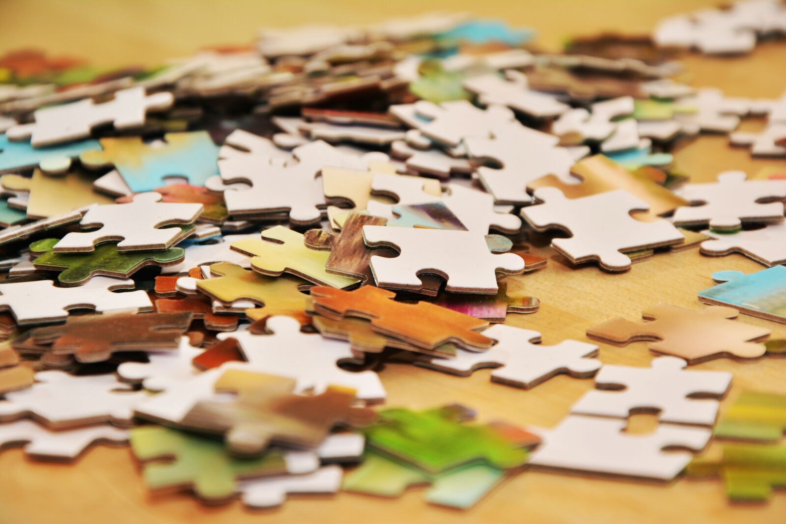 Nikon D5200 sample photo. Pieces of the puzzle photography